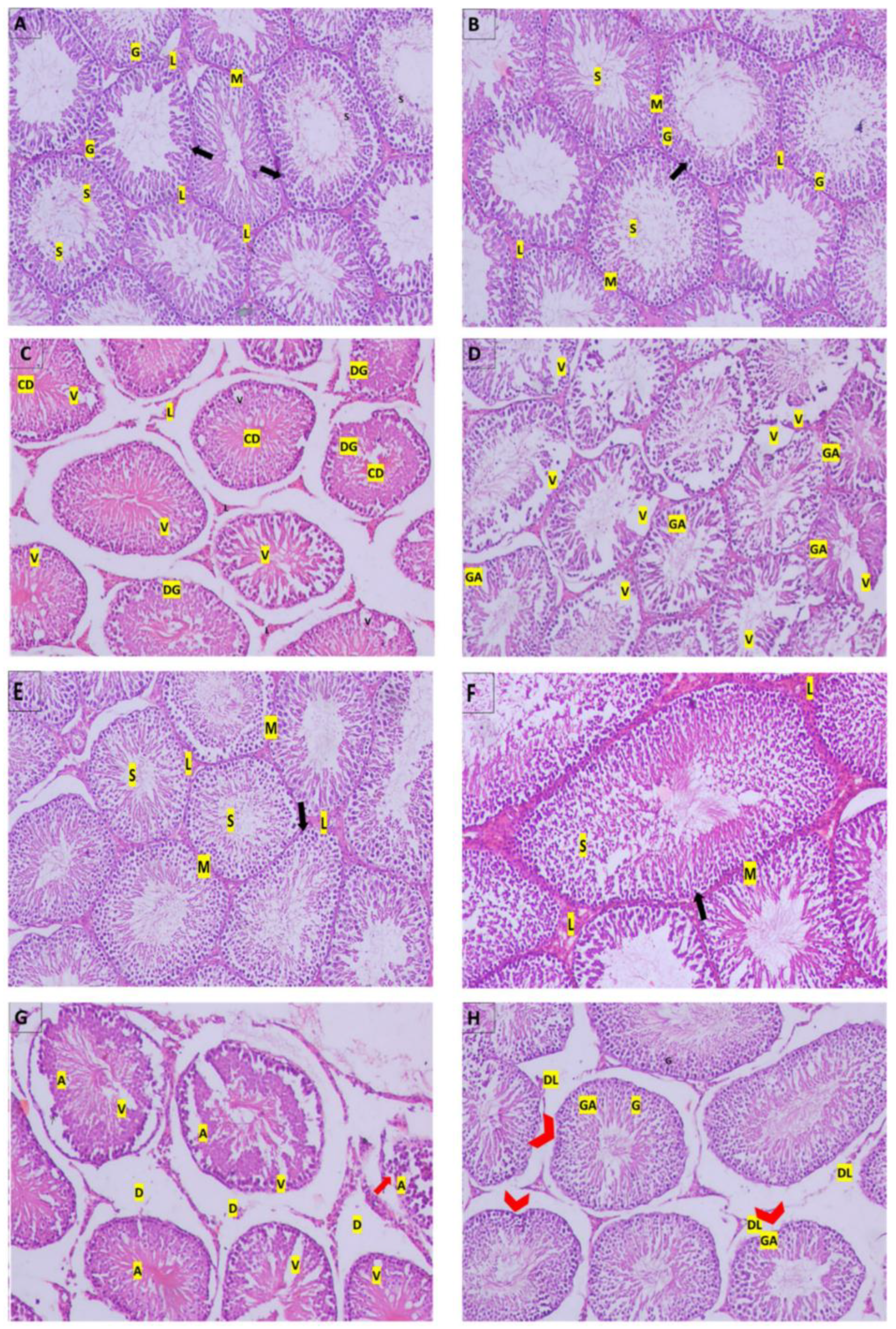 Molecules 27 04069 g003