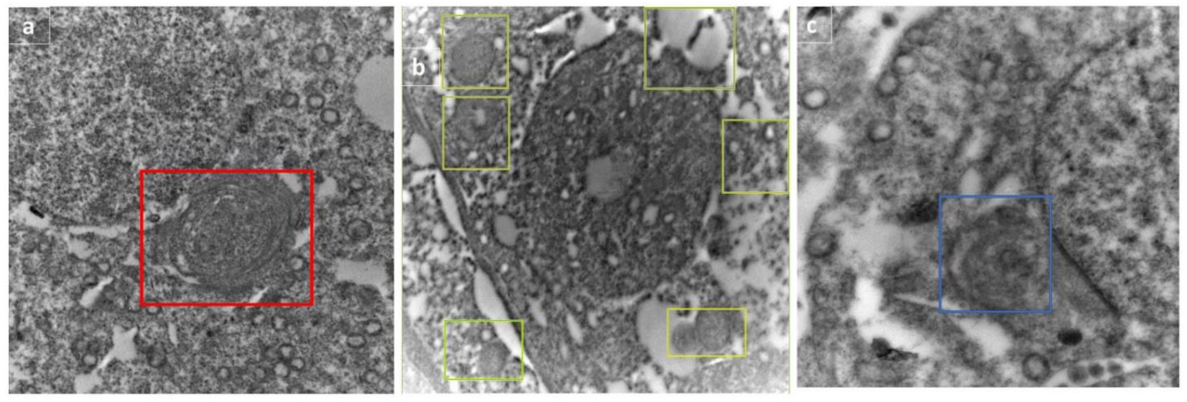 Molecules 27 04069 g011
