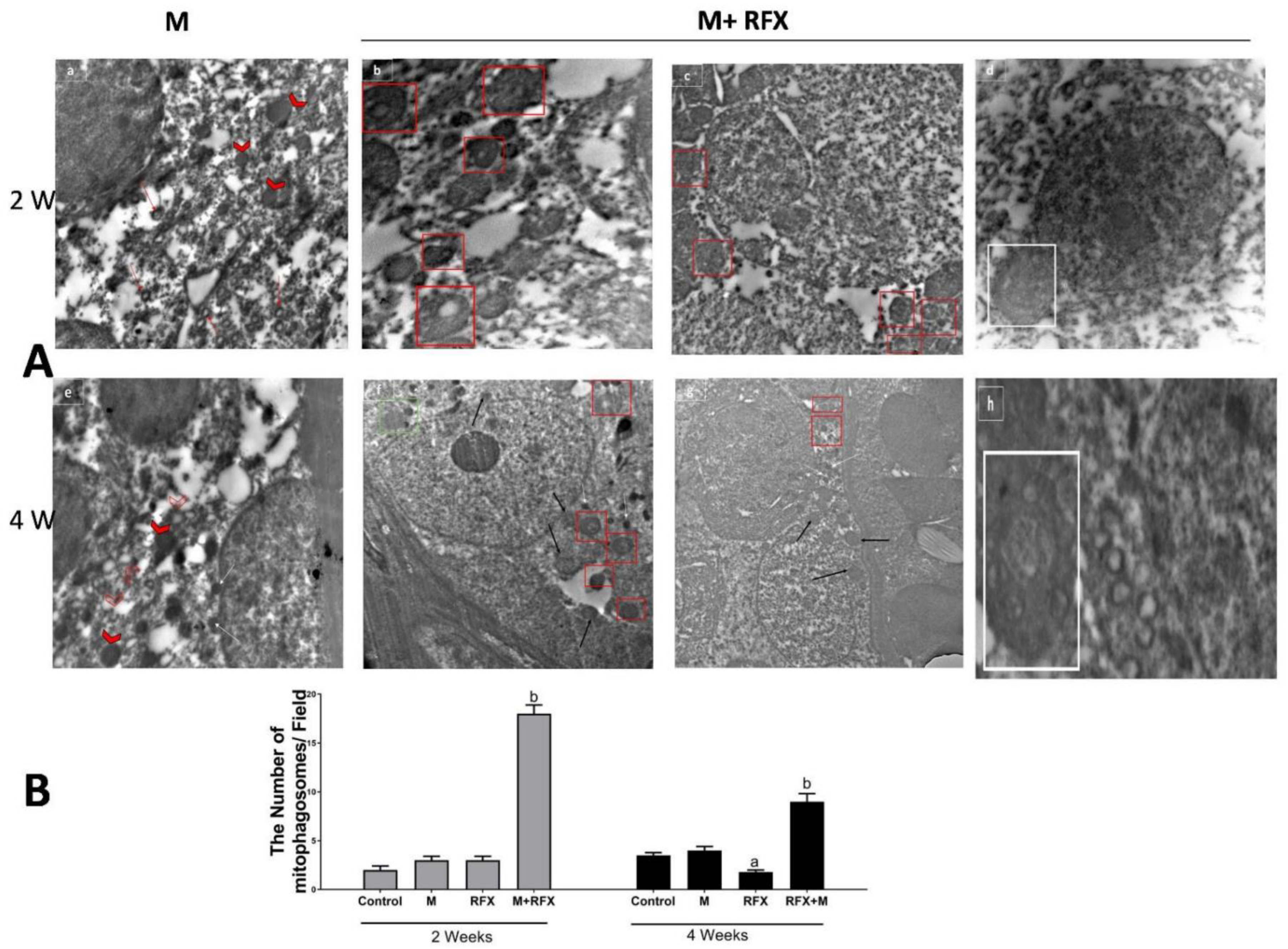 Molecules 27 04069 g012