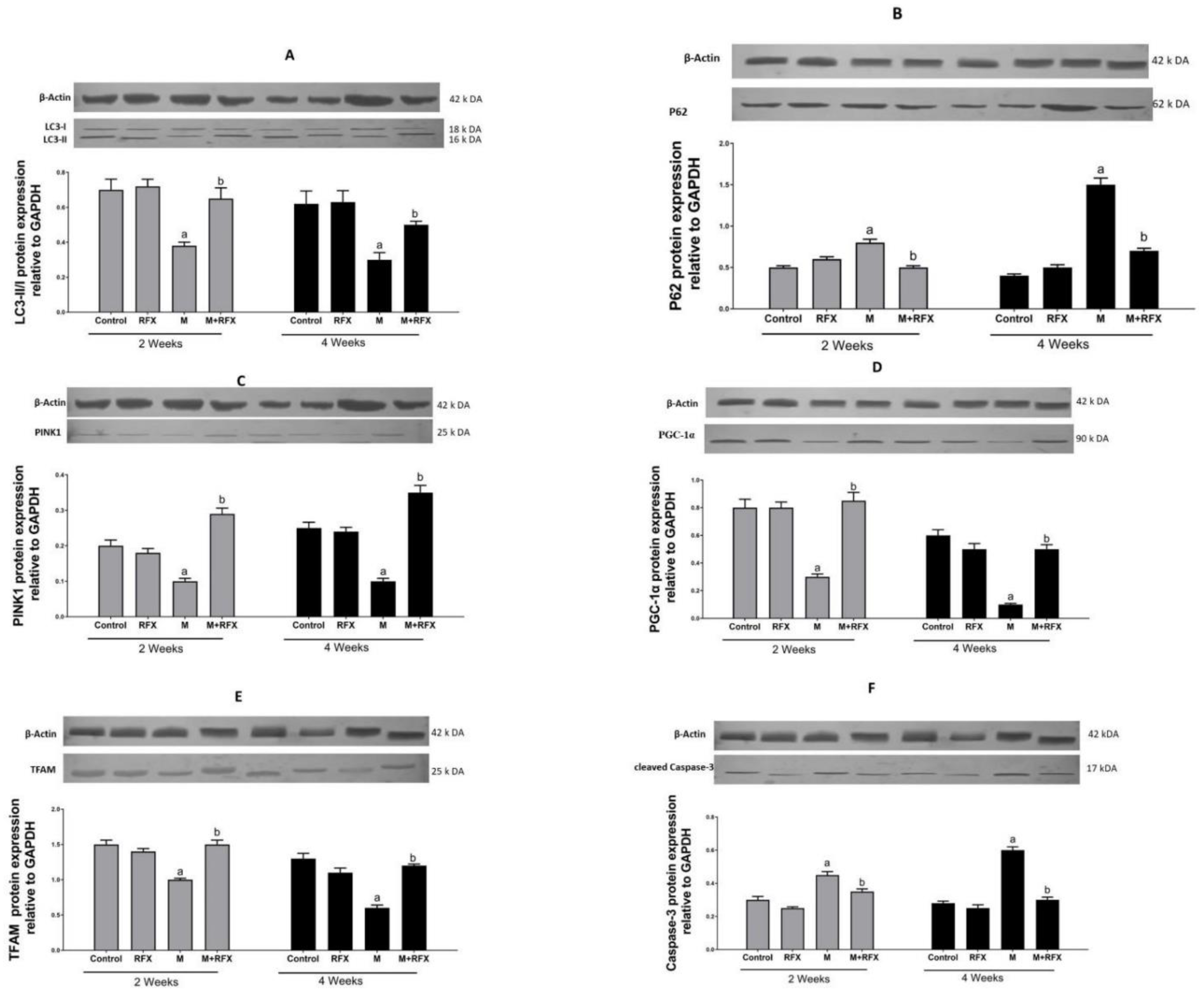 Molecules 27 04069 g013