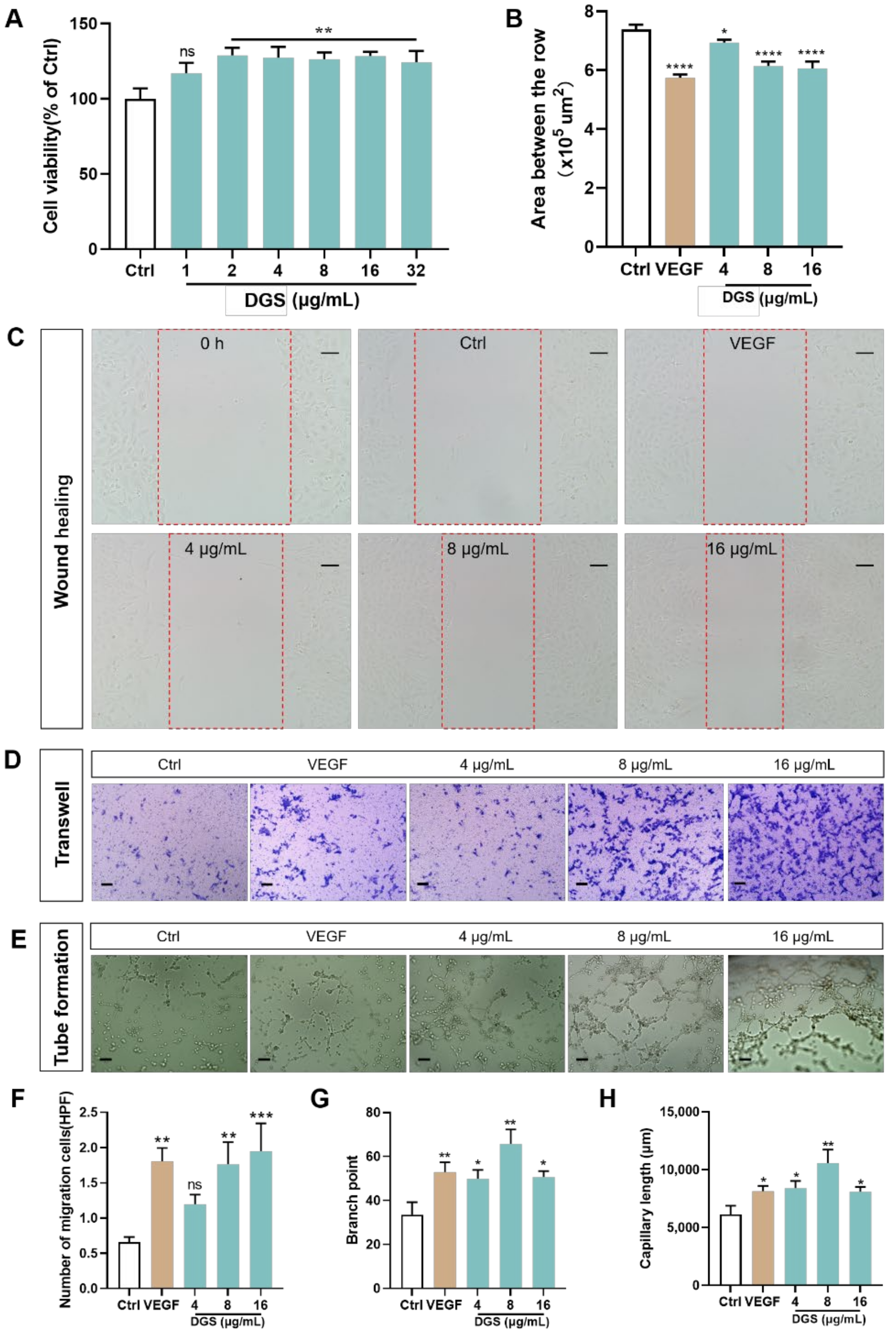 Molecules 27 04075 g003