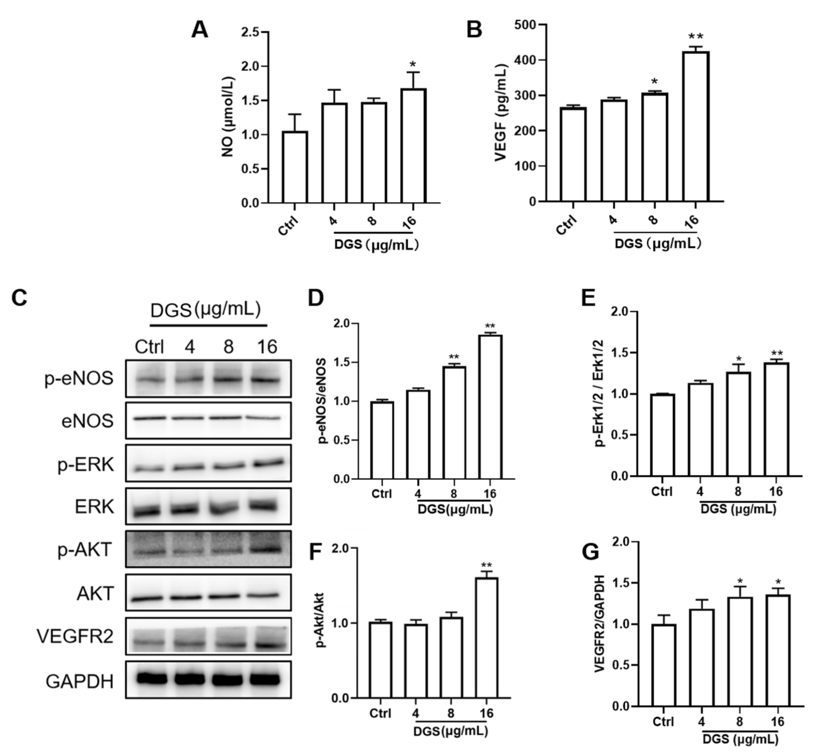 Molecules 27 04075 g004