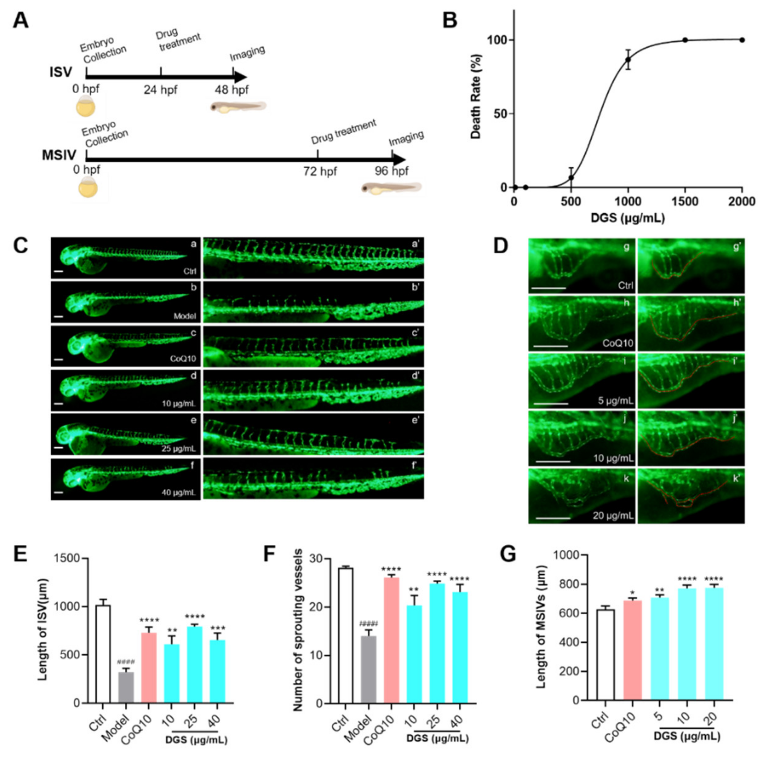 Molecules 27 04075 g005