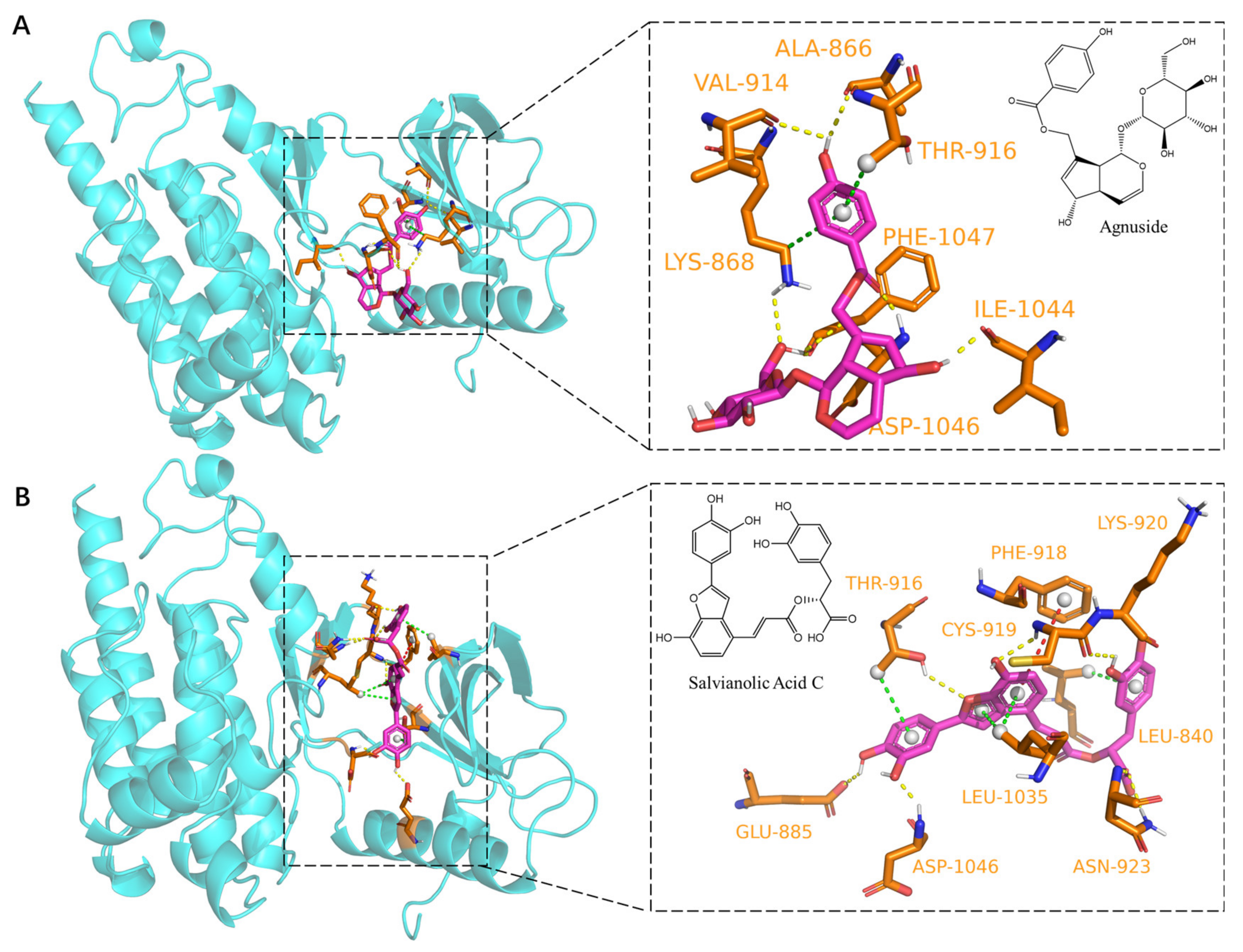 Molecules 27 04075 g006