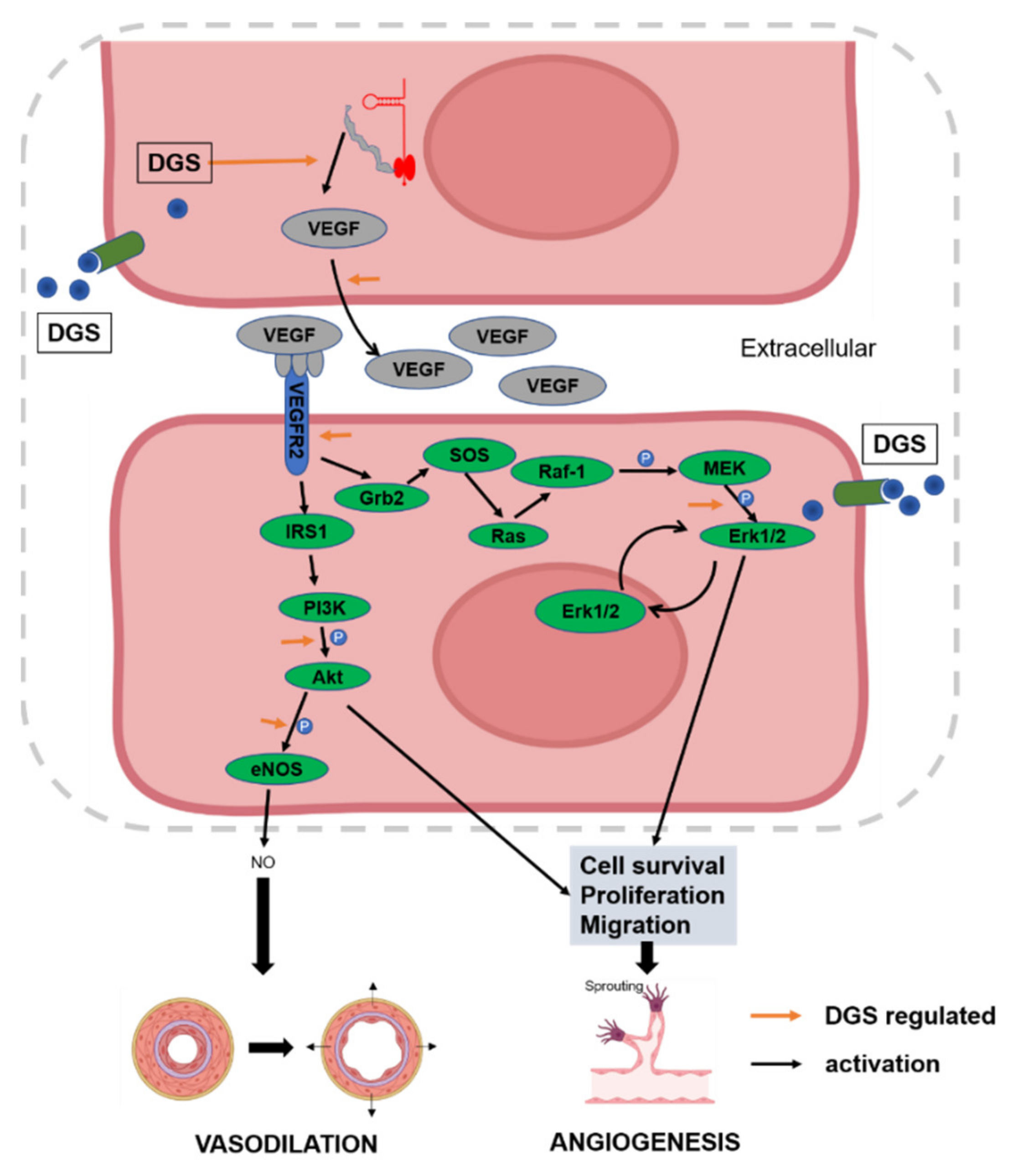 Molecules 27 04075 g008