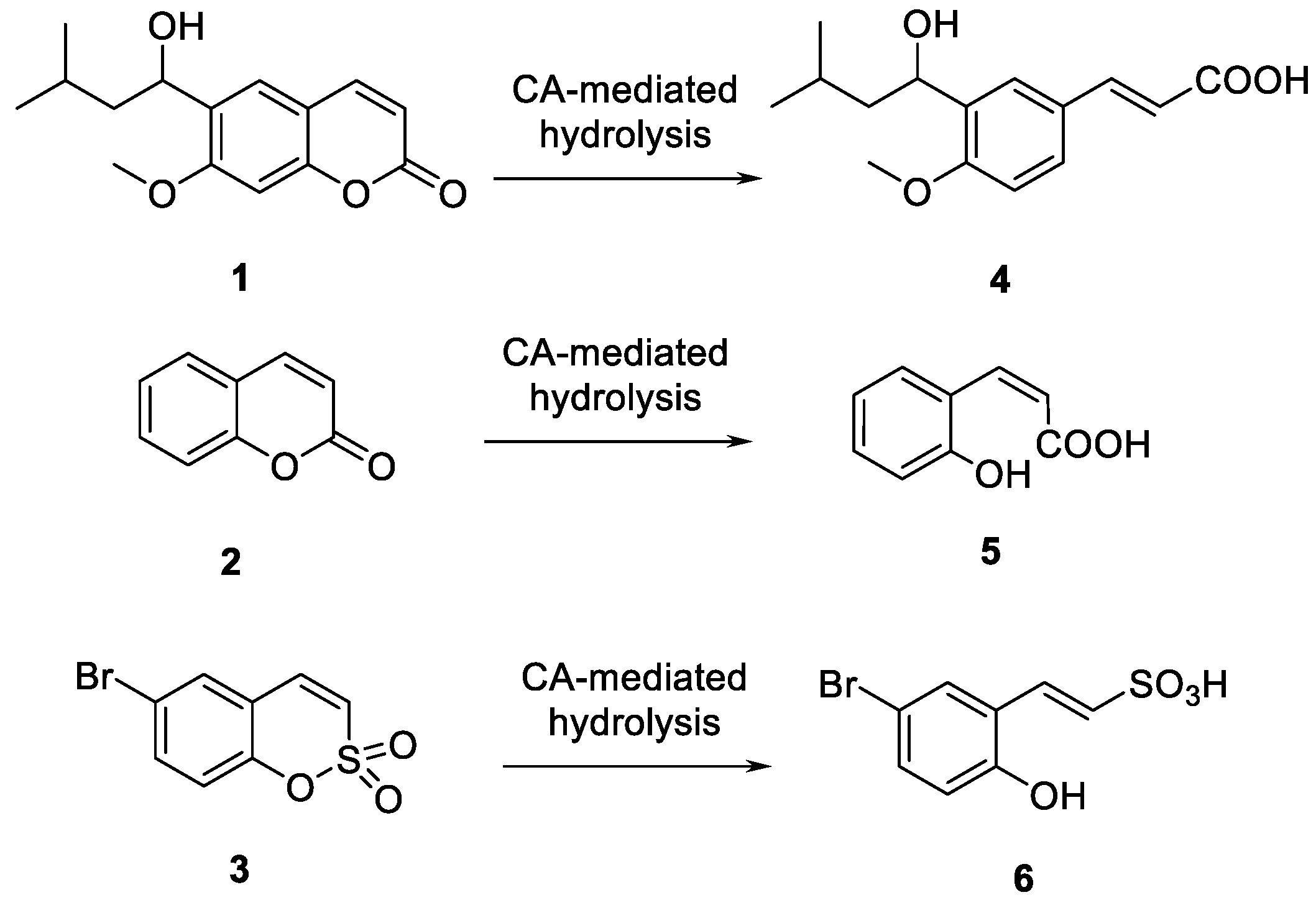Molecules 27 04076 g001
