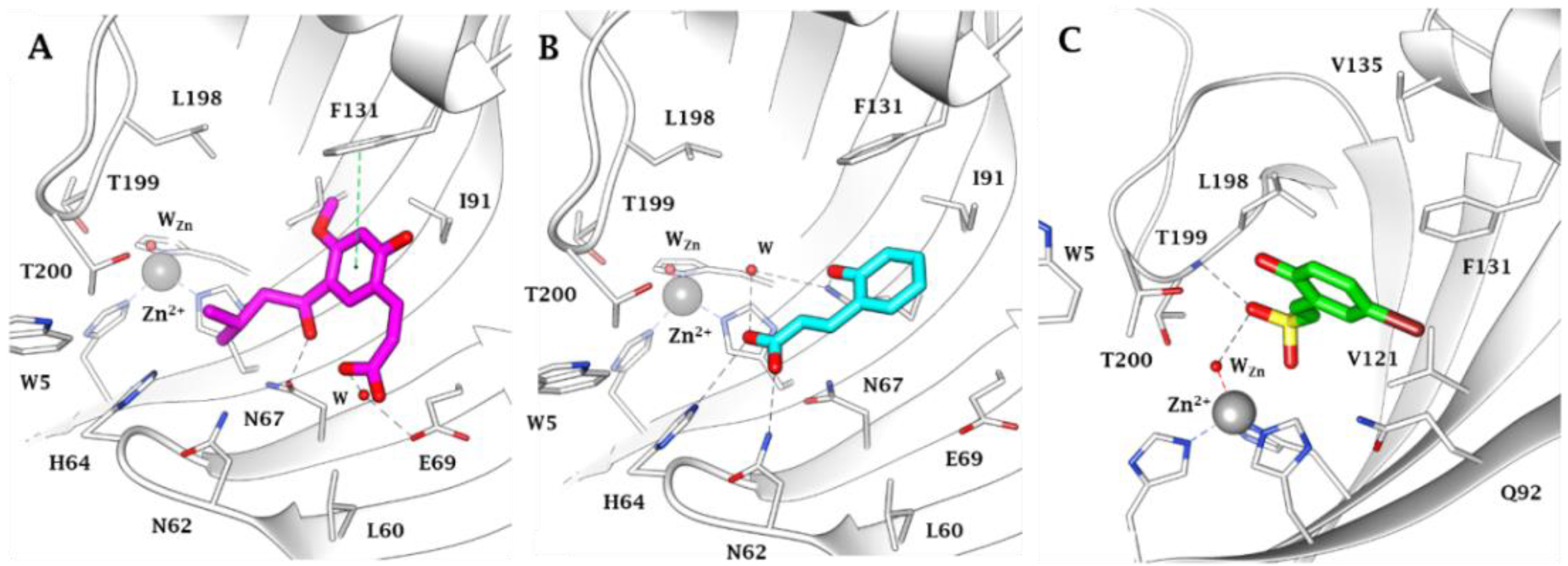 Molecules 27 04076 g002