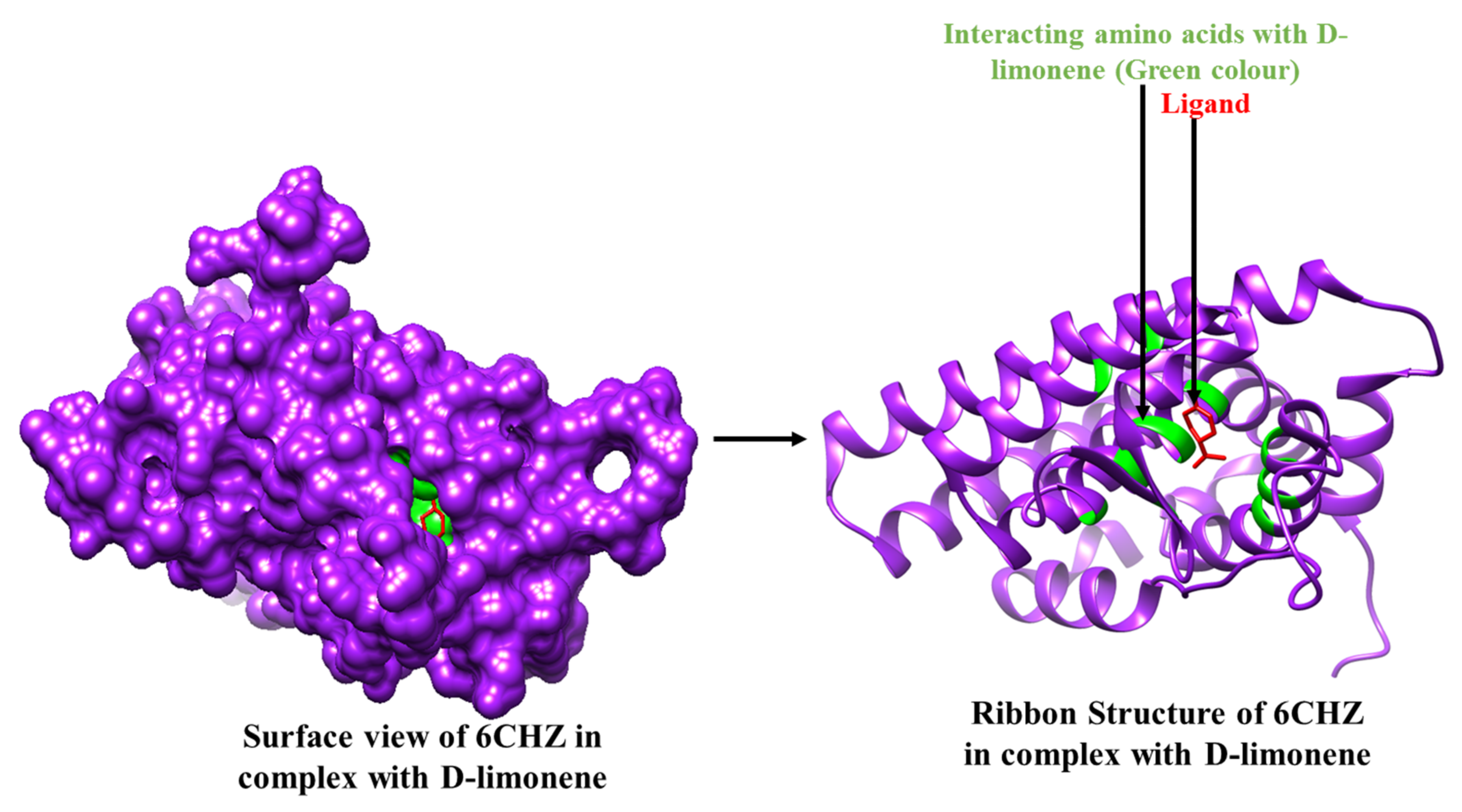 Molecules 27 04077 g002