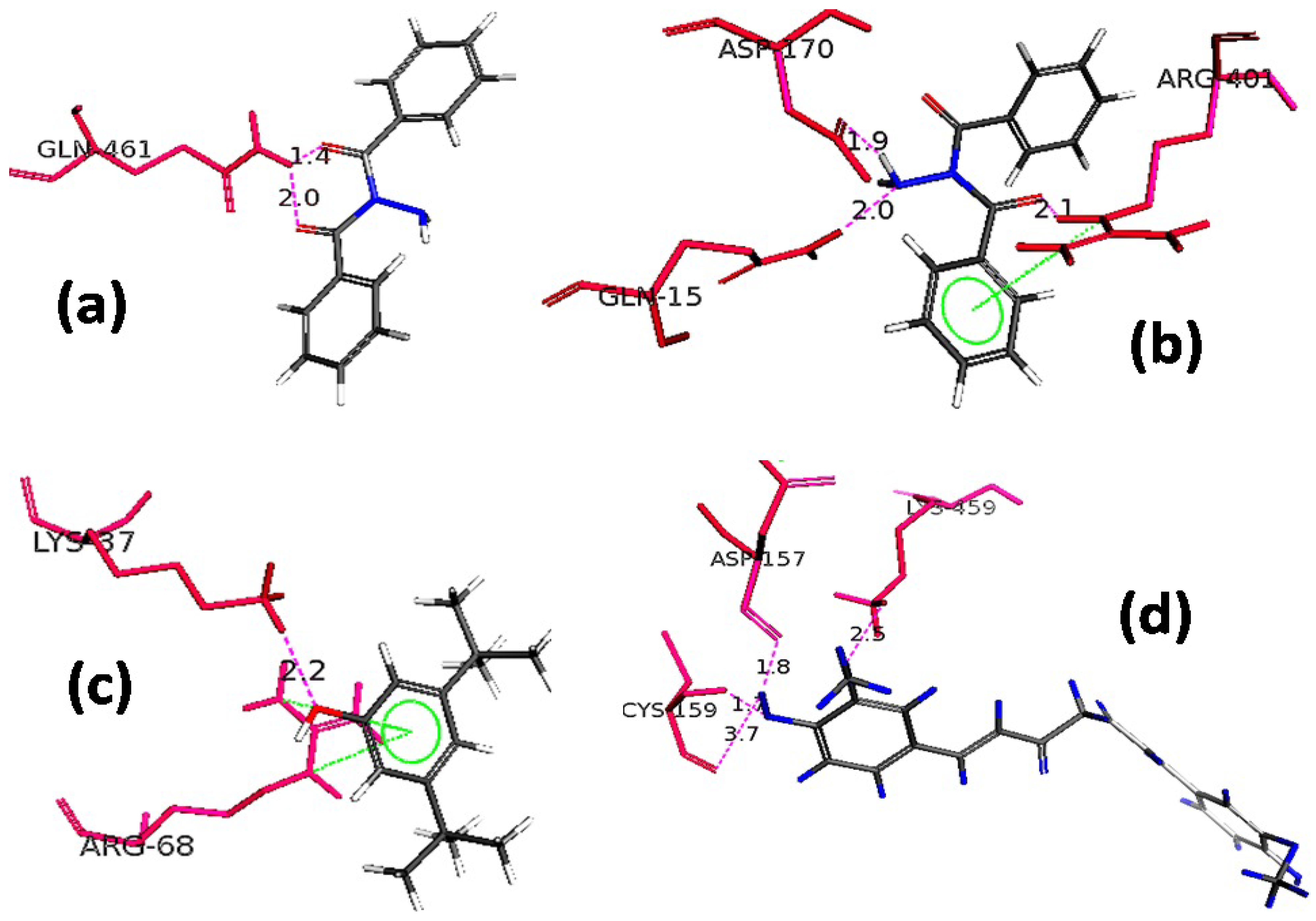 Molecules 27 04081 g004