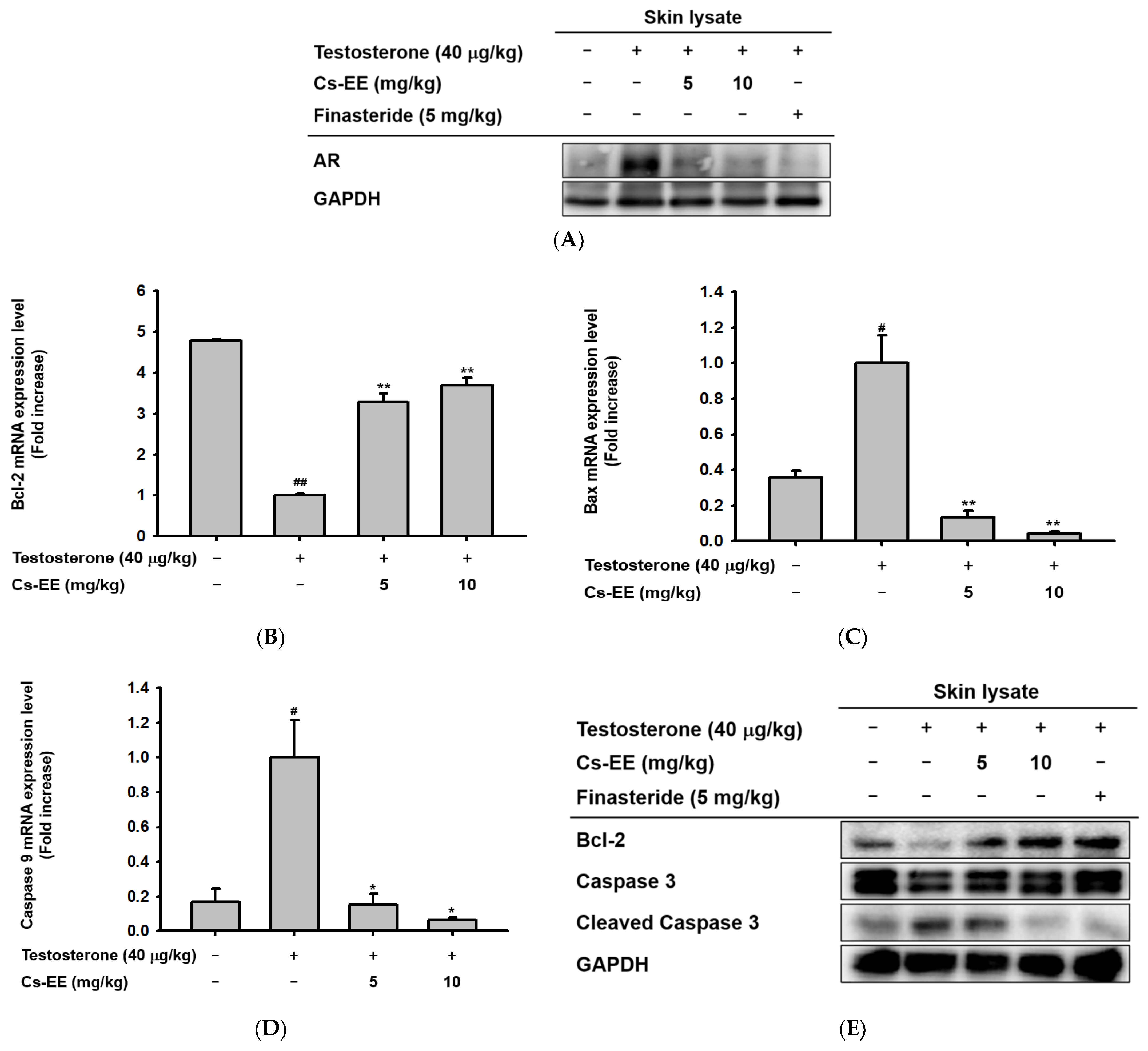 Molecules 27 04086 g004
