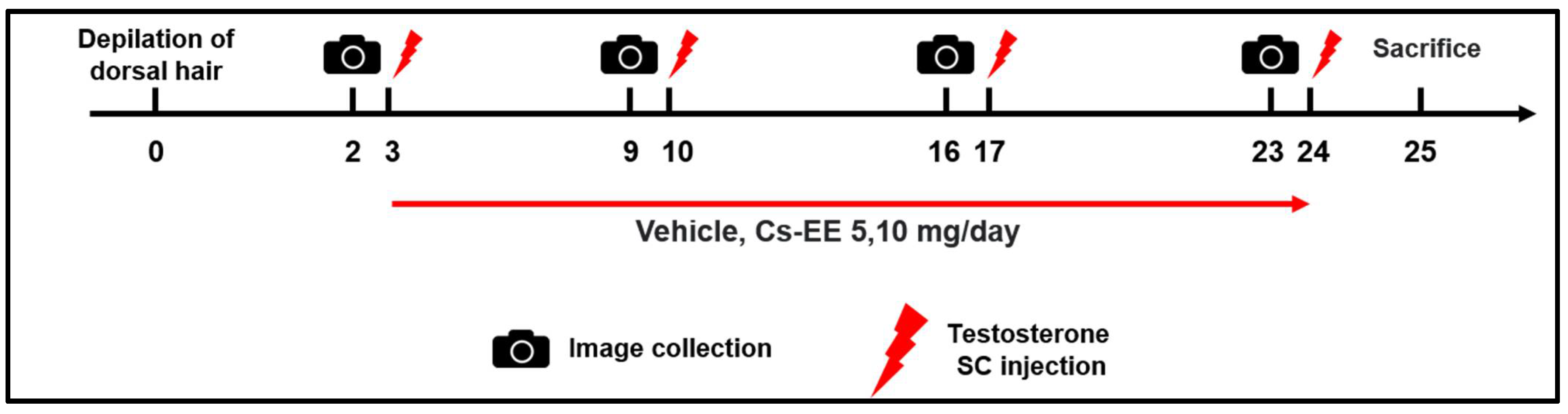 Molecules 27 04086 g007