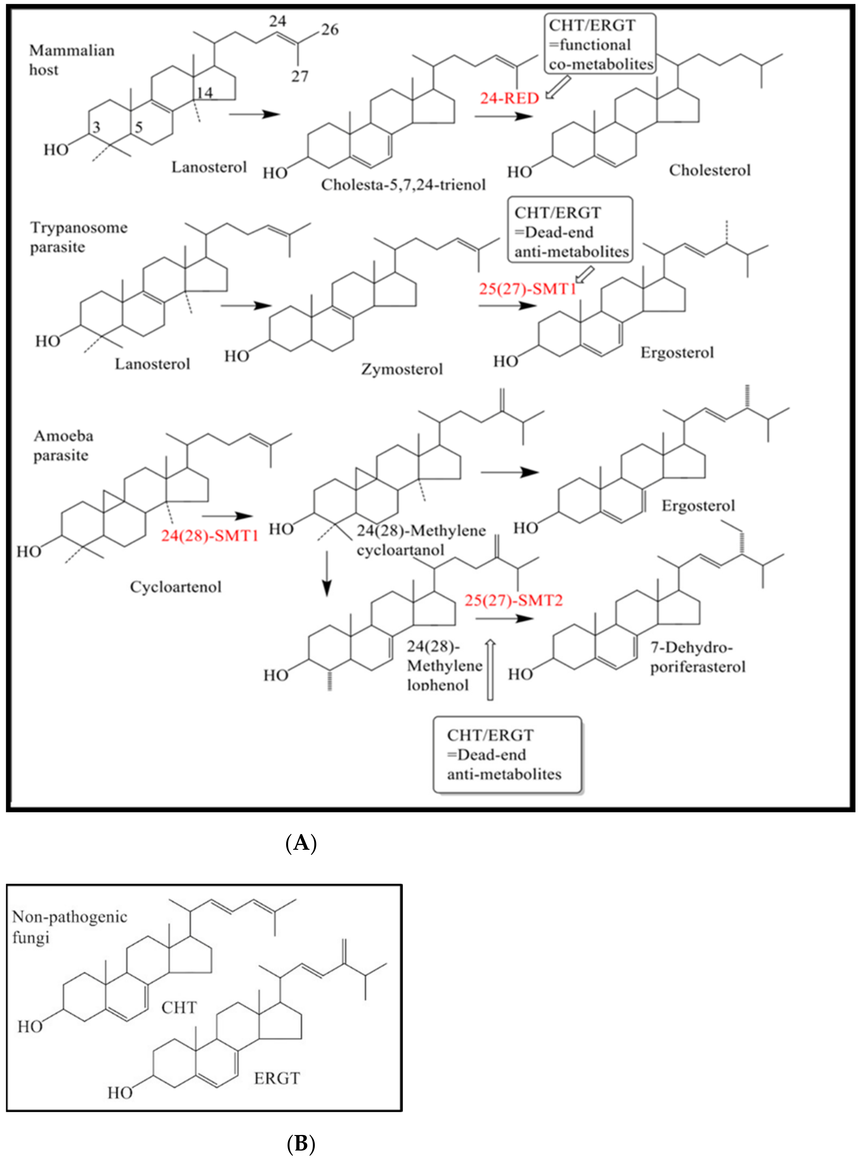 Molecules 27 04088 g001