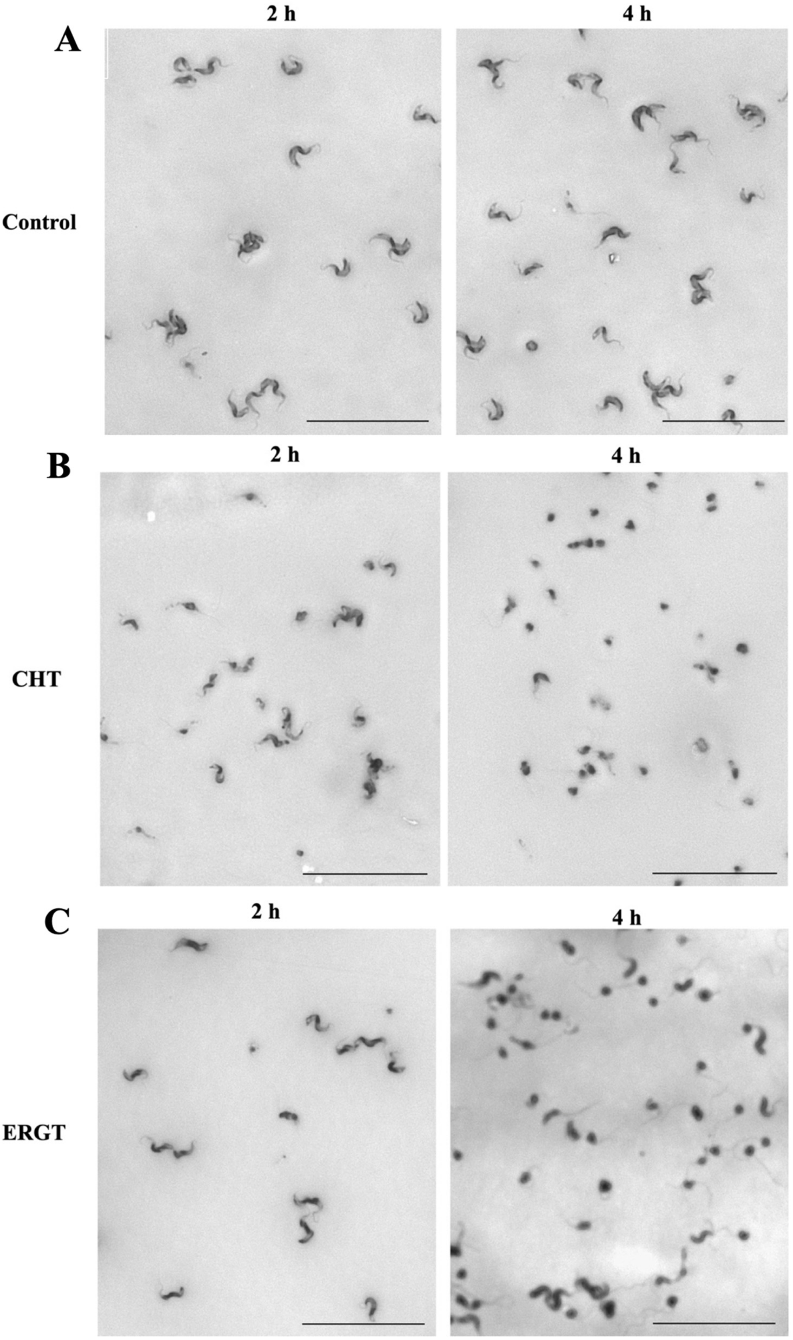 Molecules 27 04088 g003