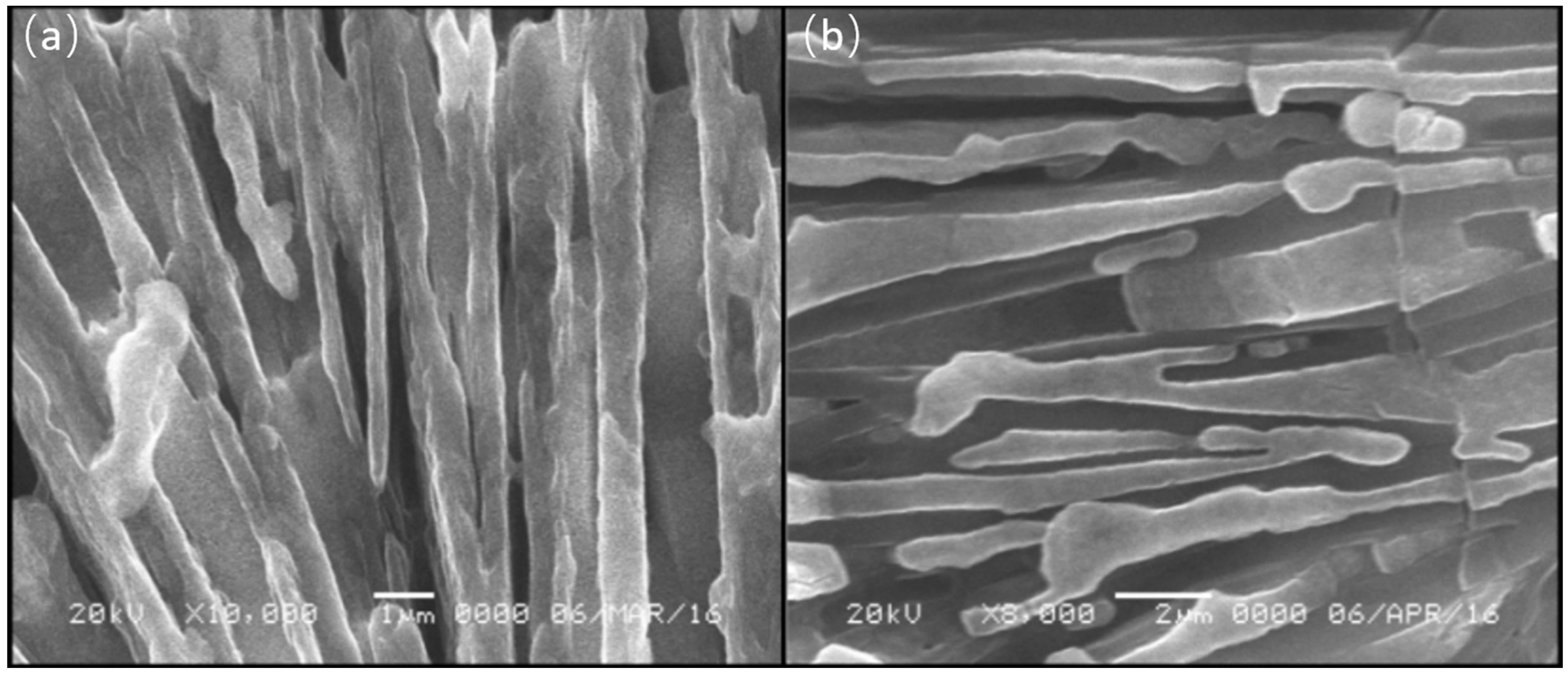 Molecules 27 04093 g005