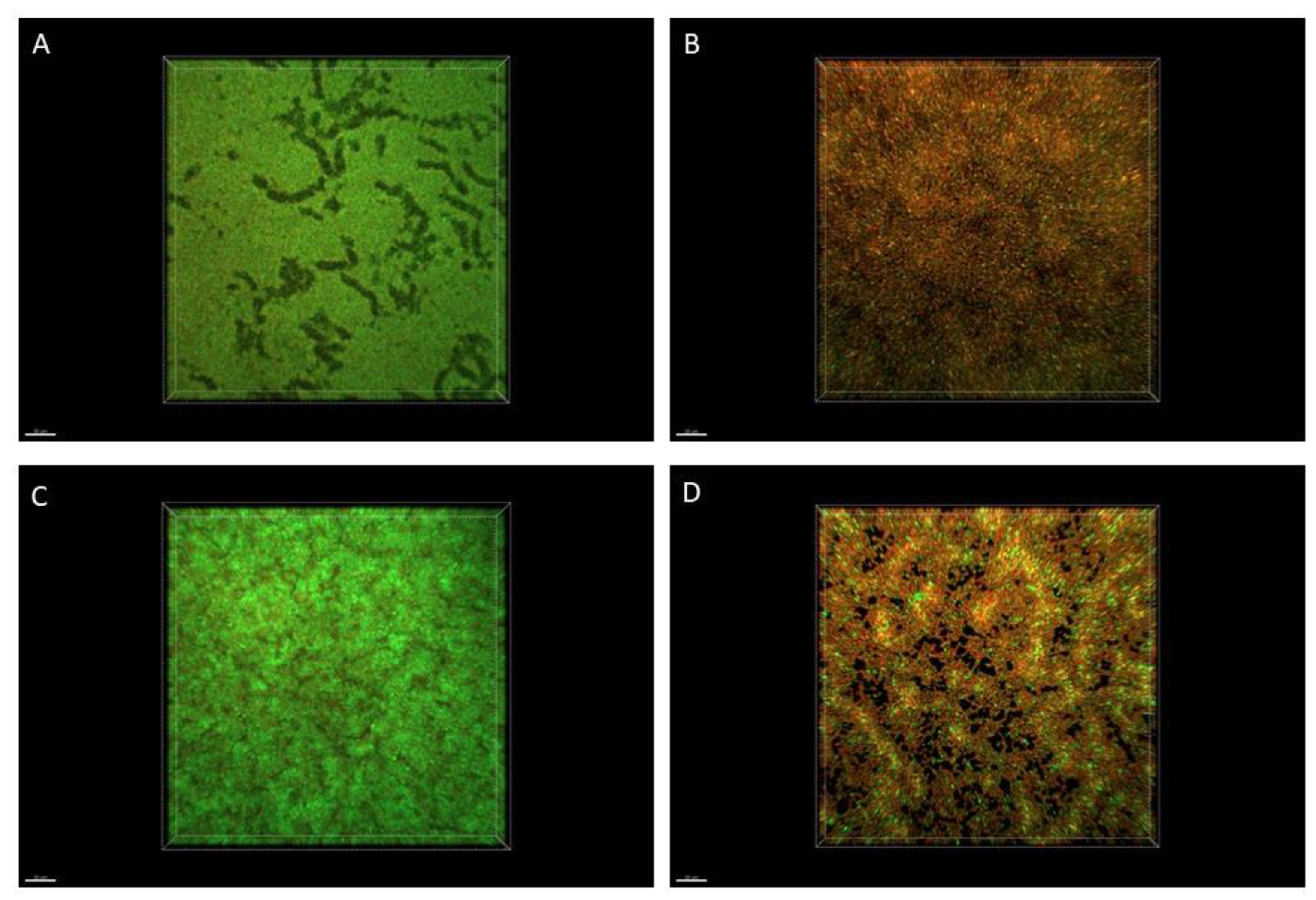 Molecules 27 04096 g003
