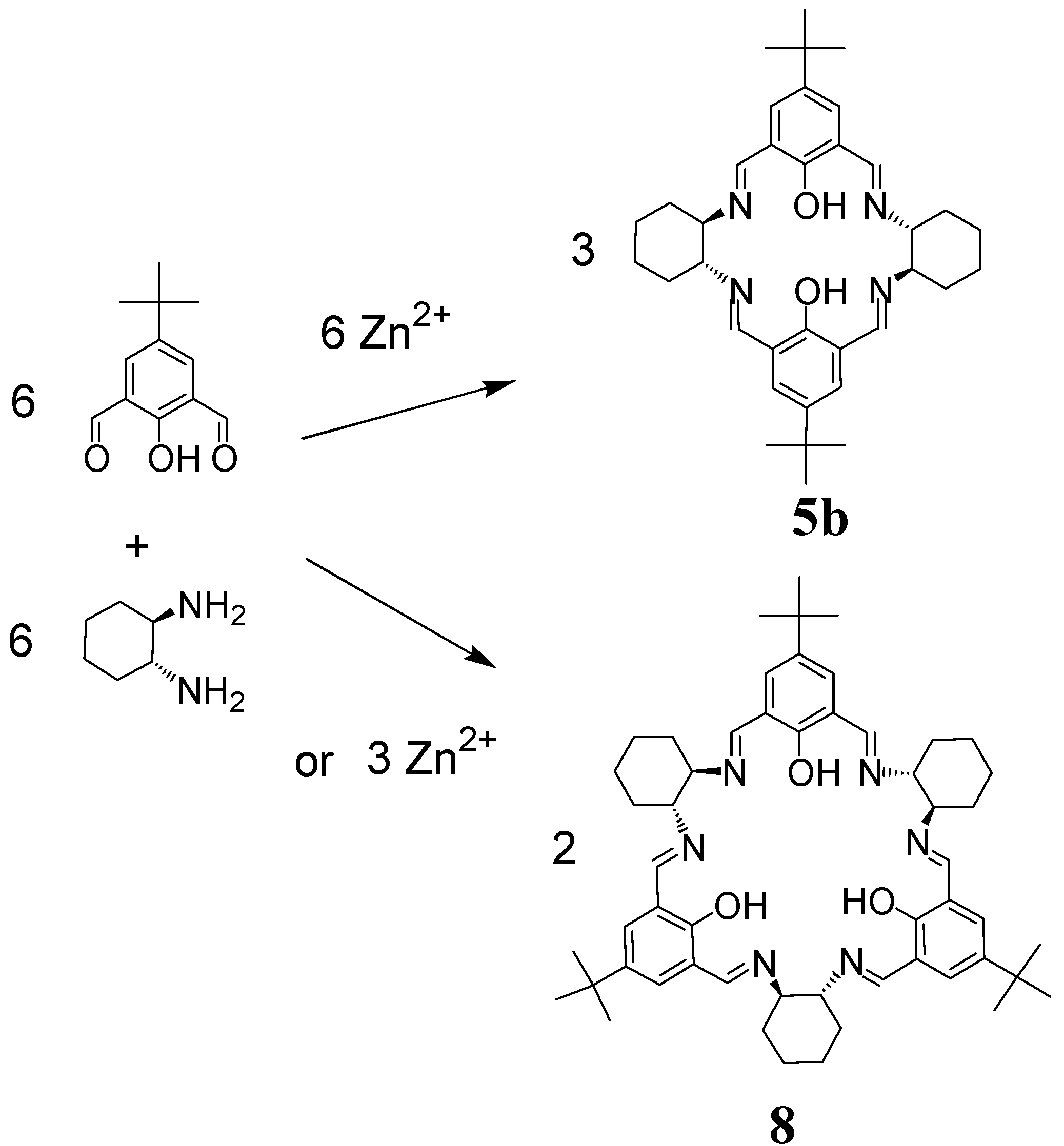 Molecules 27 04097 g005