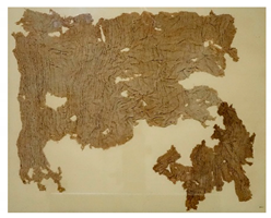 Molecules 27 04103 i001