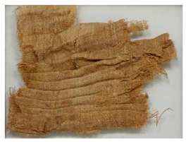 Molecules 27 04103 i004