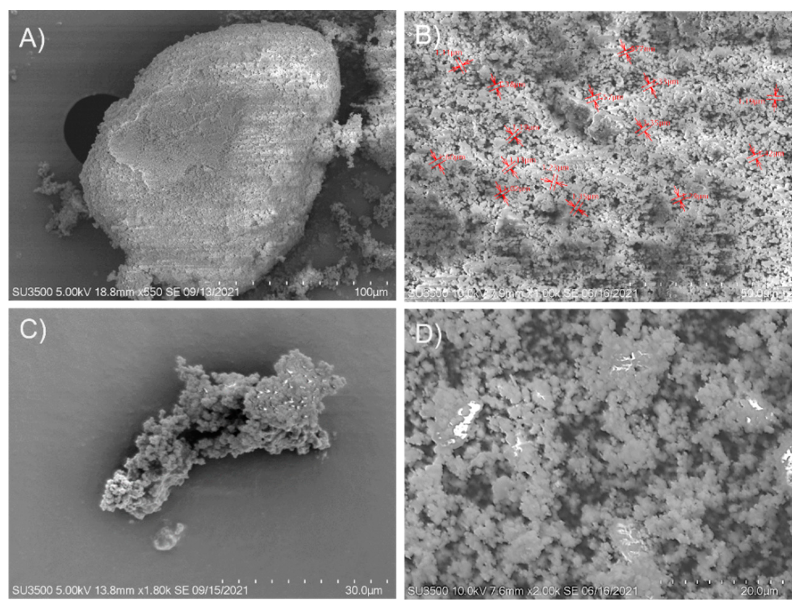Molecules 27 04105 g007