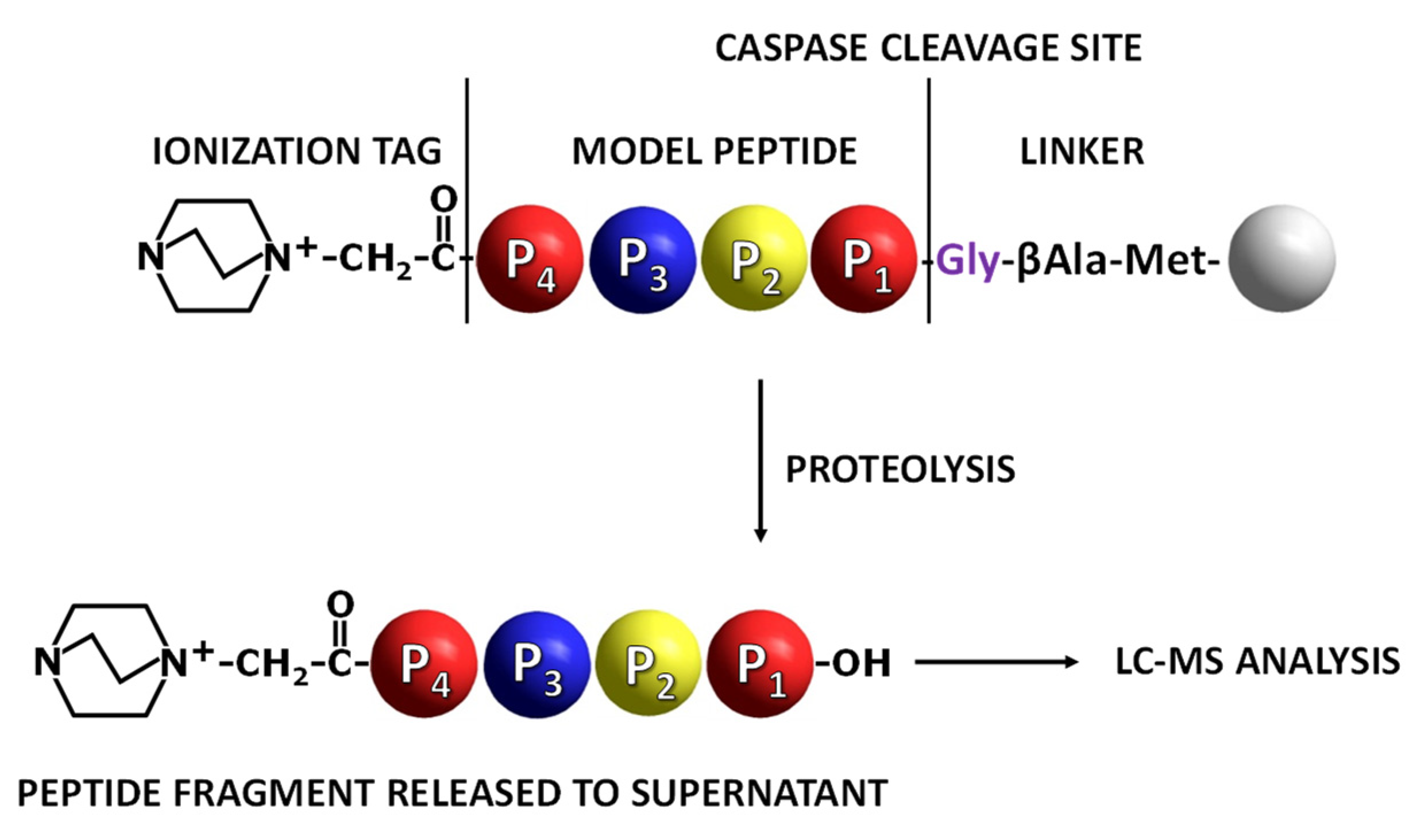 Molecules 27 04107 g001