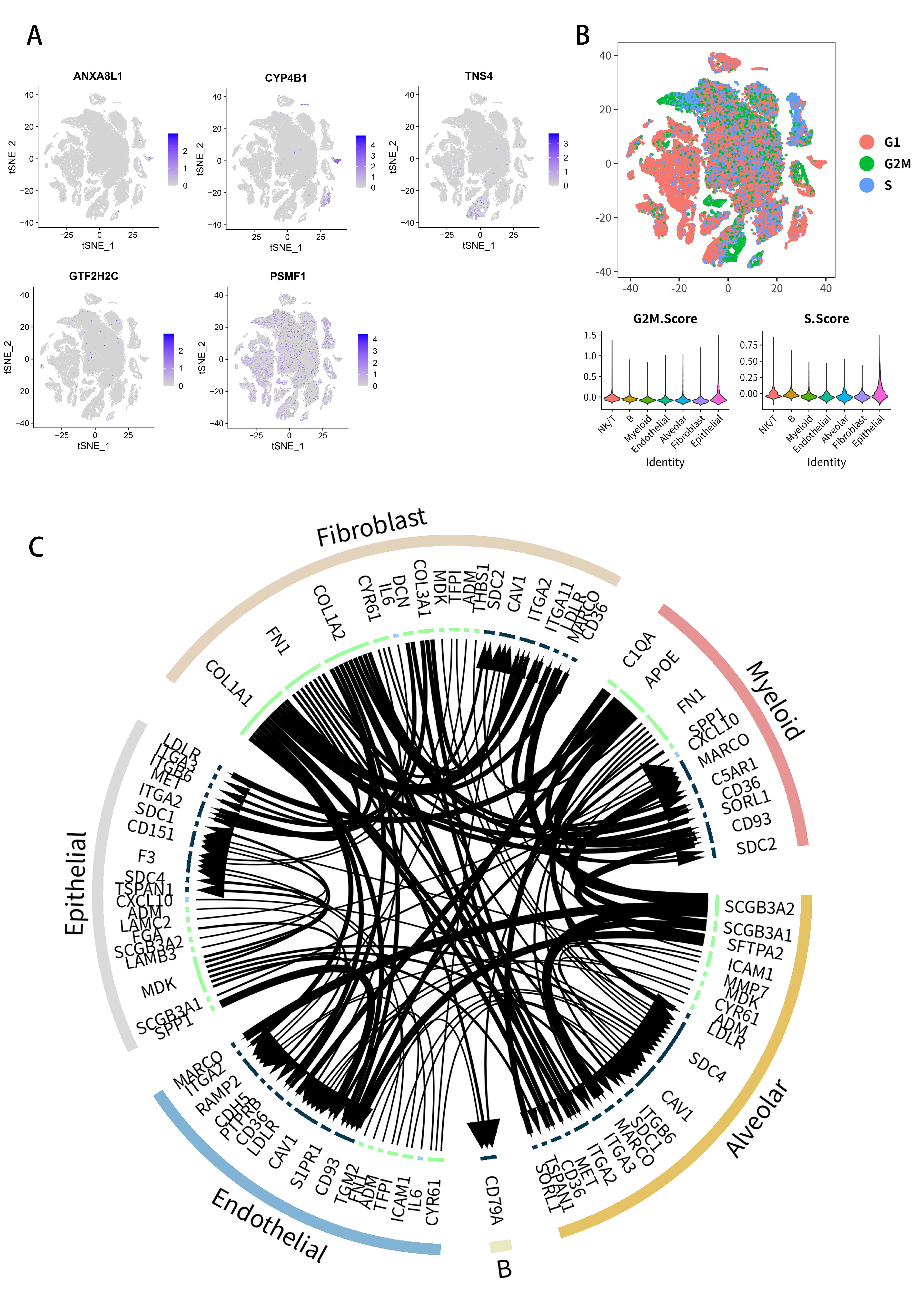 Molecules 27 04108 g009