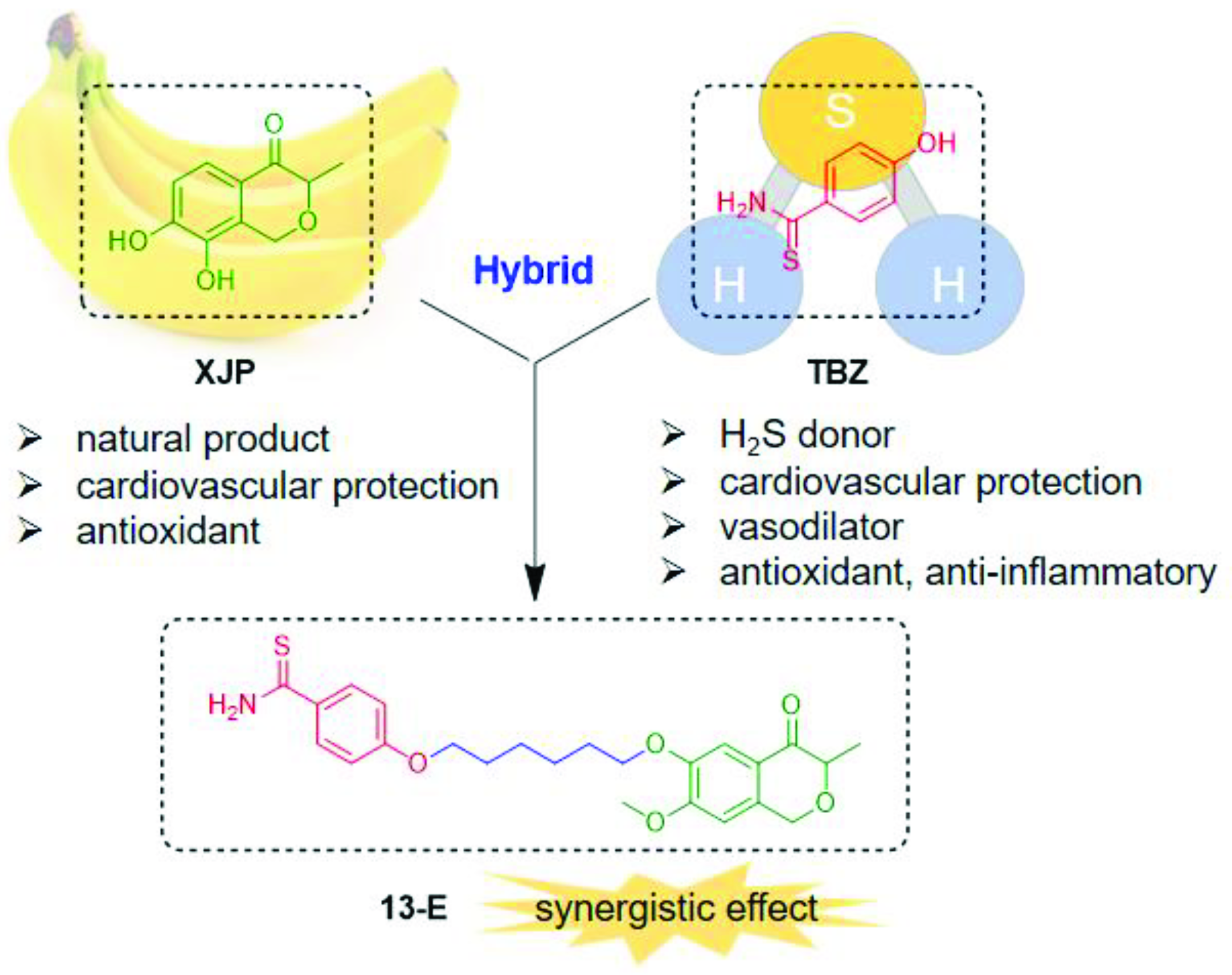 Molecules 27 04114 g001