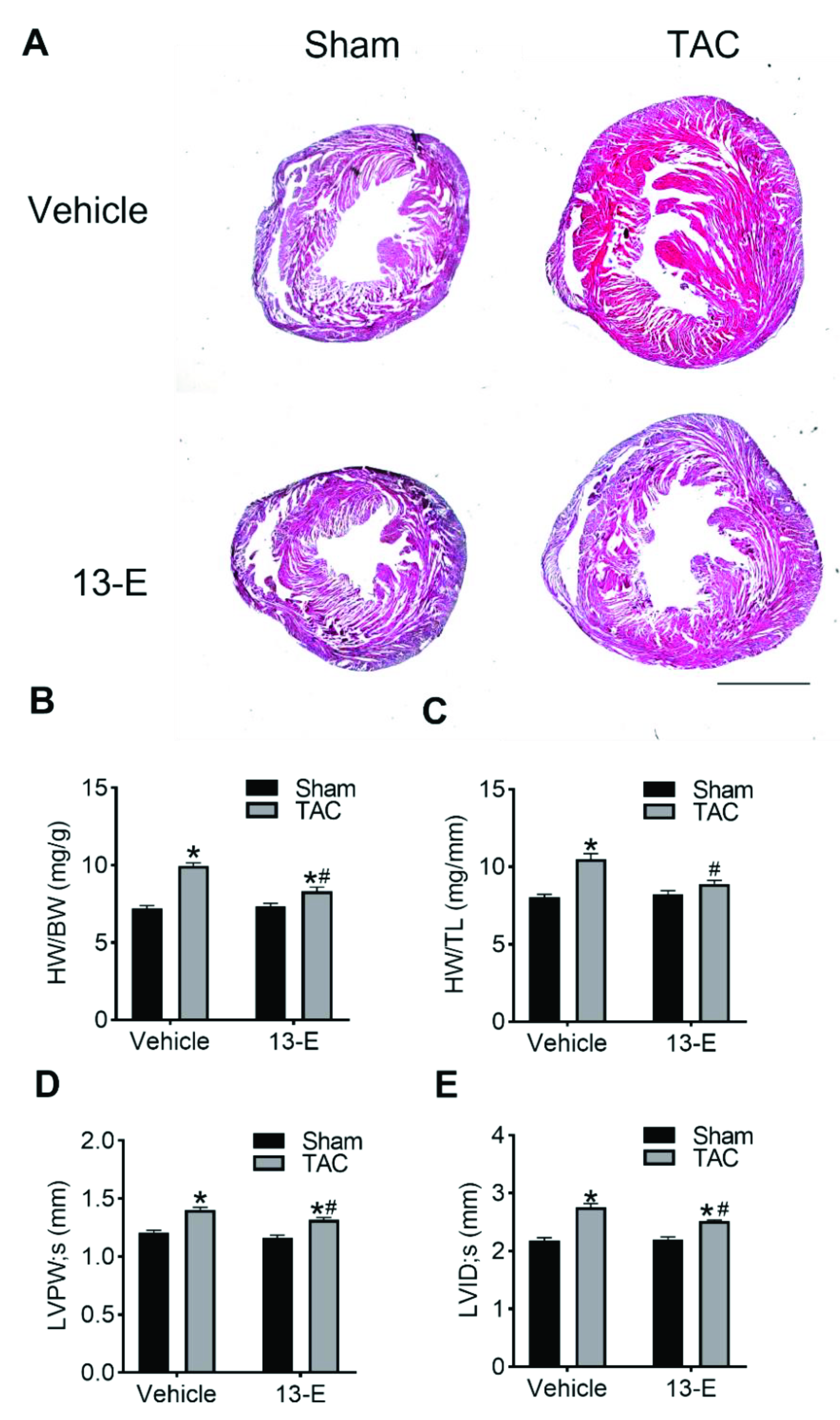 Molecules 27 04114 g005