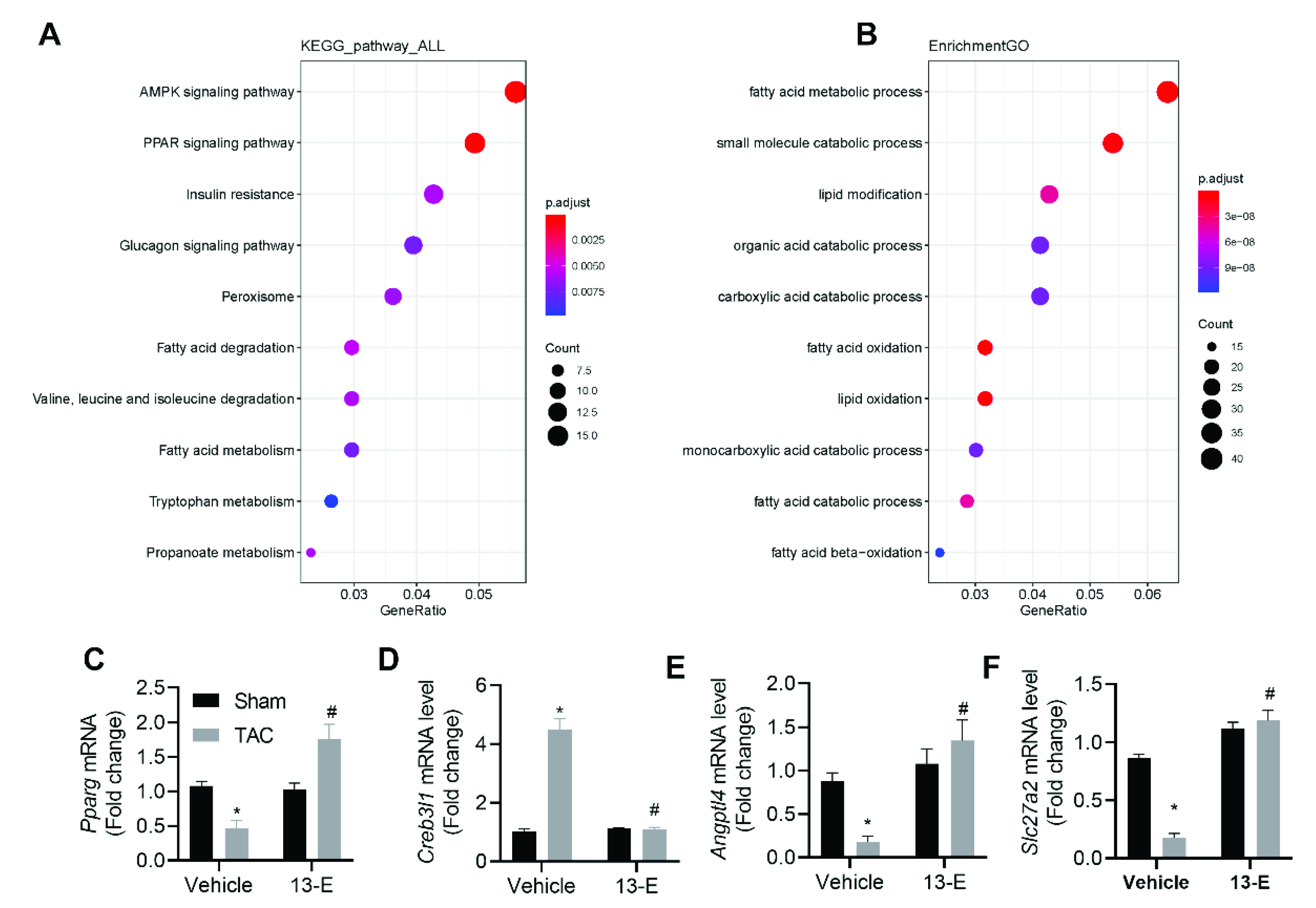 Molecules 27 04114 g007