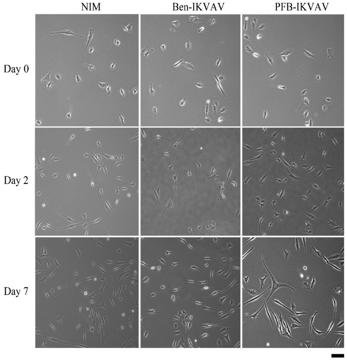 Molecules 27 04115 g007
