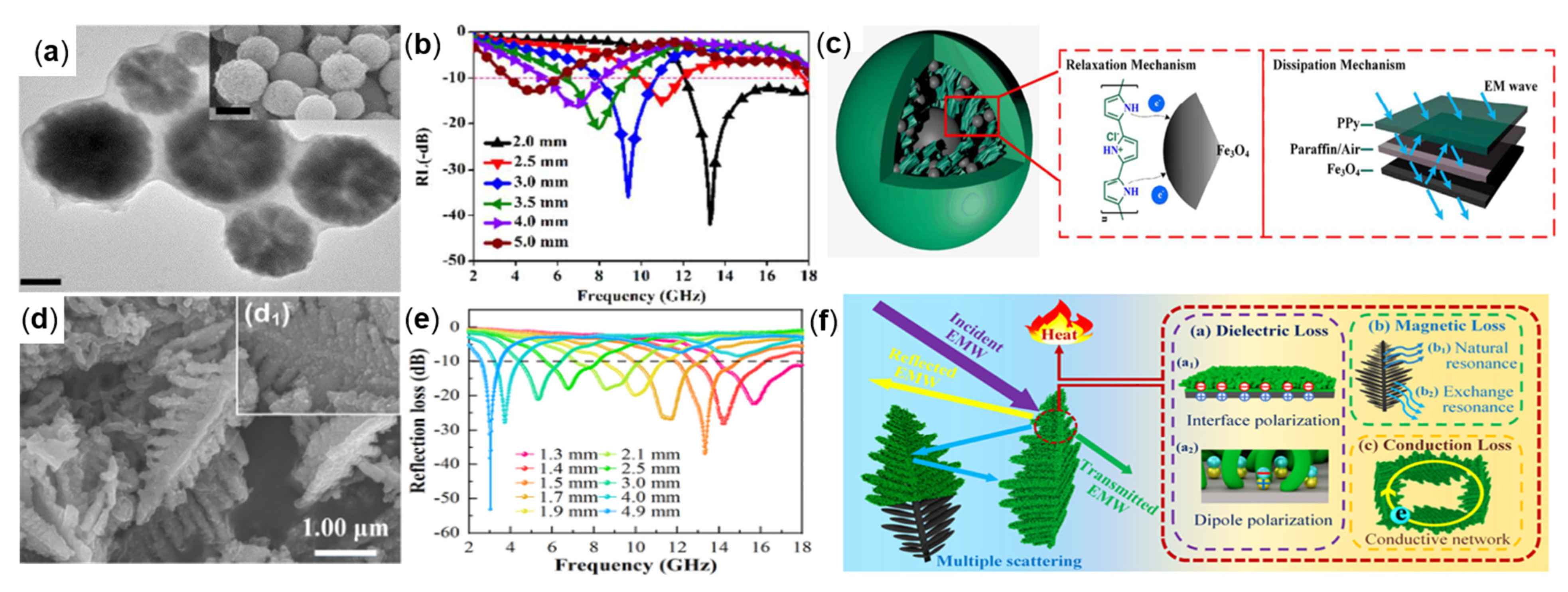 Molecules 27 04117 g013
