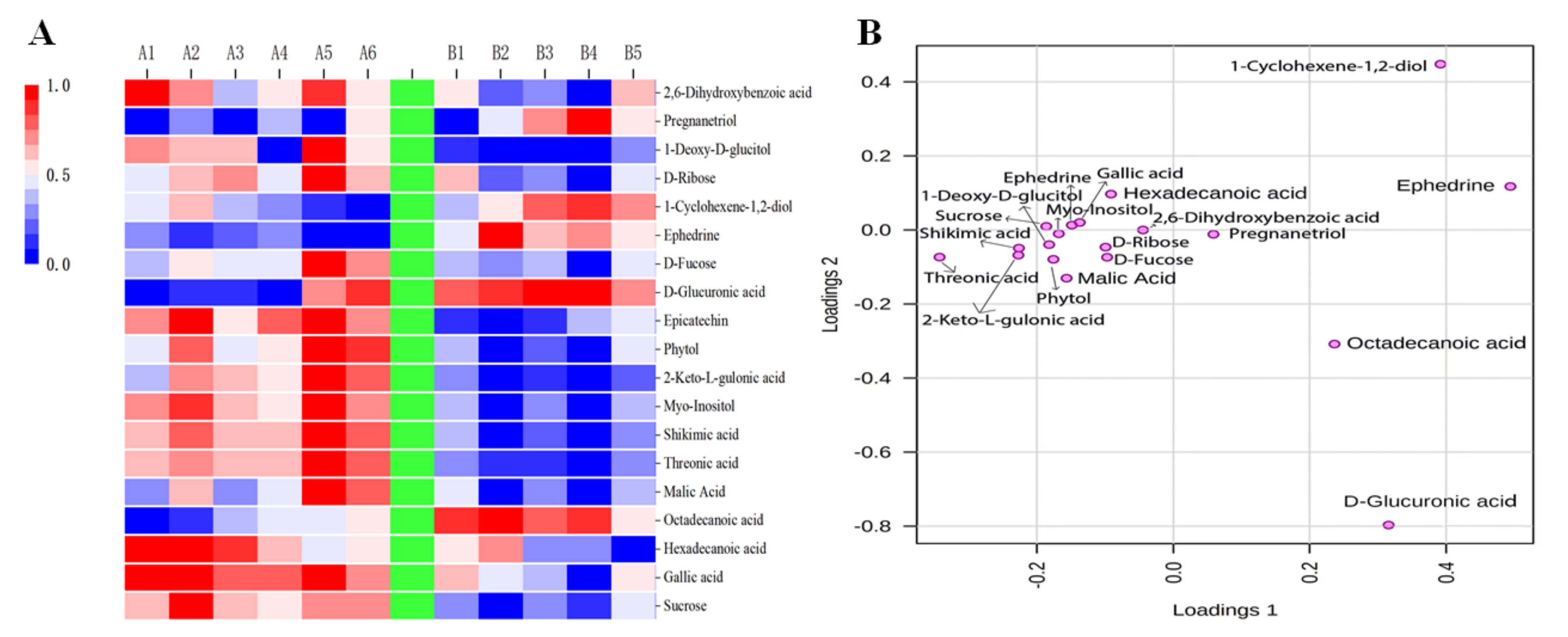 Molecules 27 04119 g003