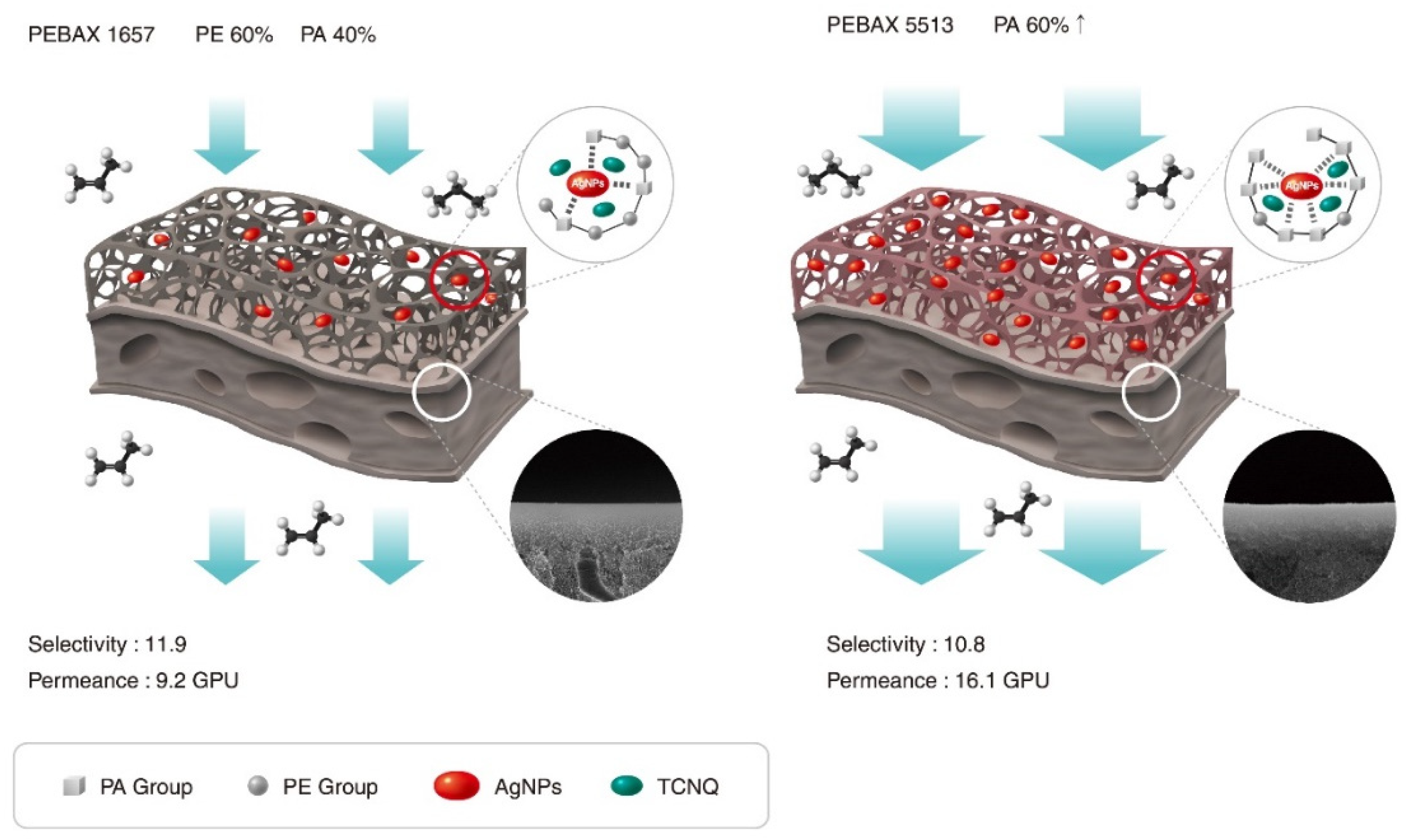 Molecules 27 04122 sch001