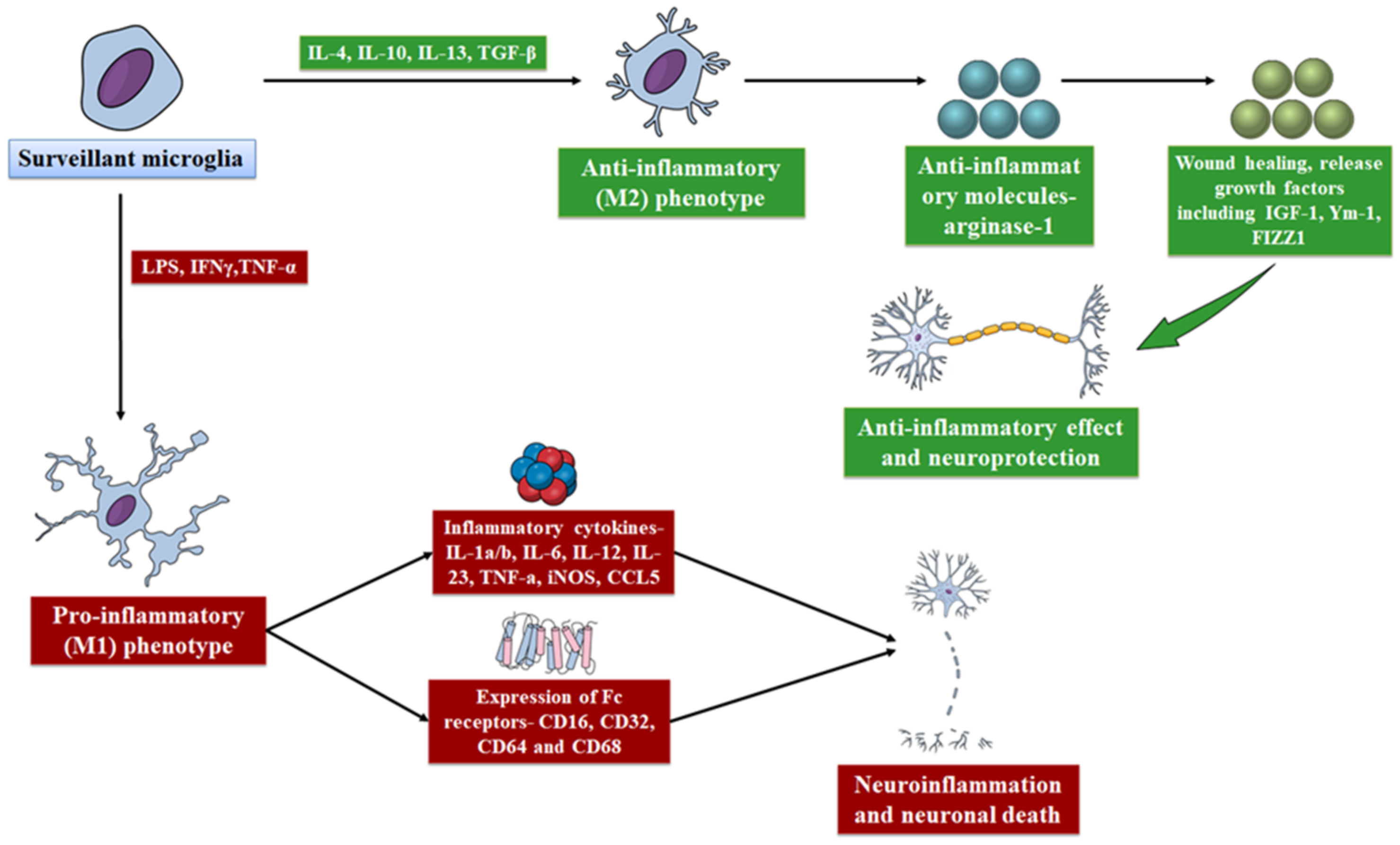 Molecules 27 04124 g001