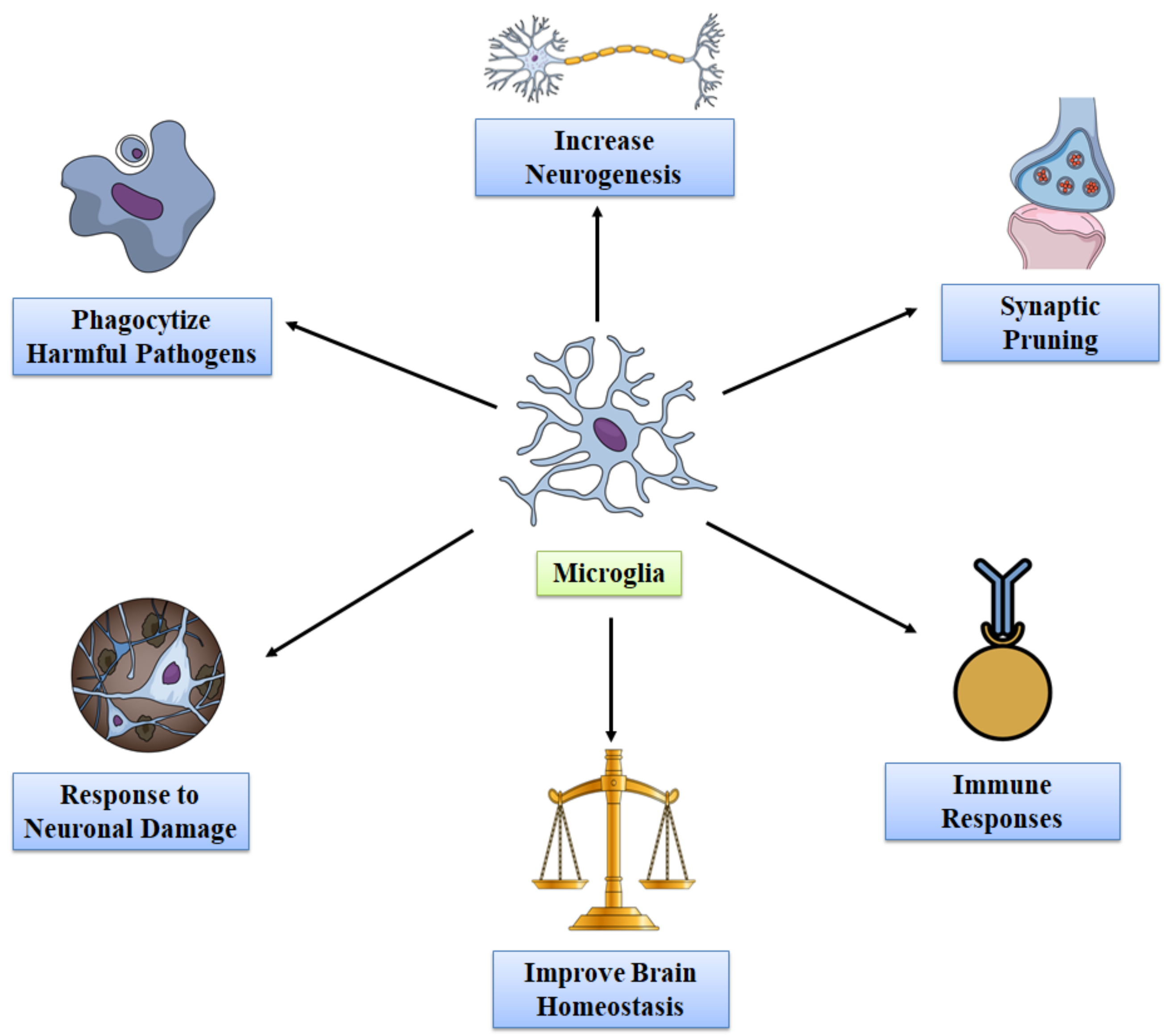 Molecules 27 04124 g002