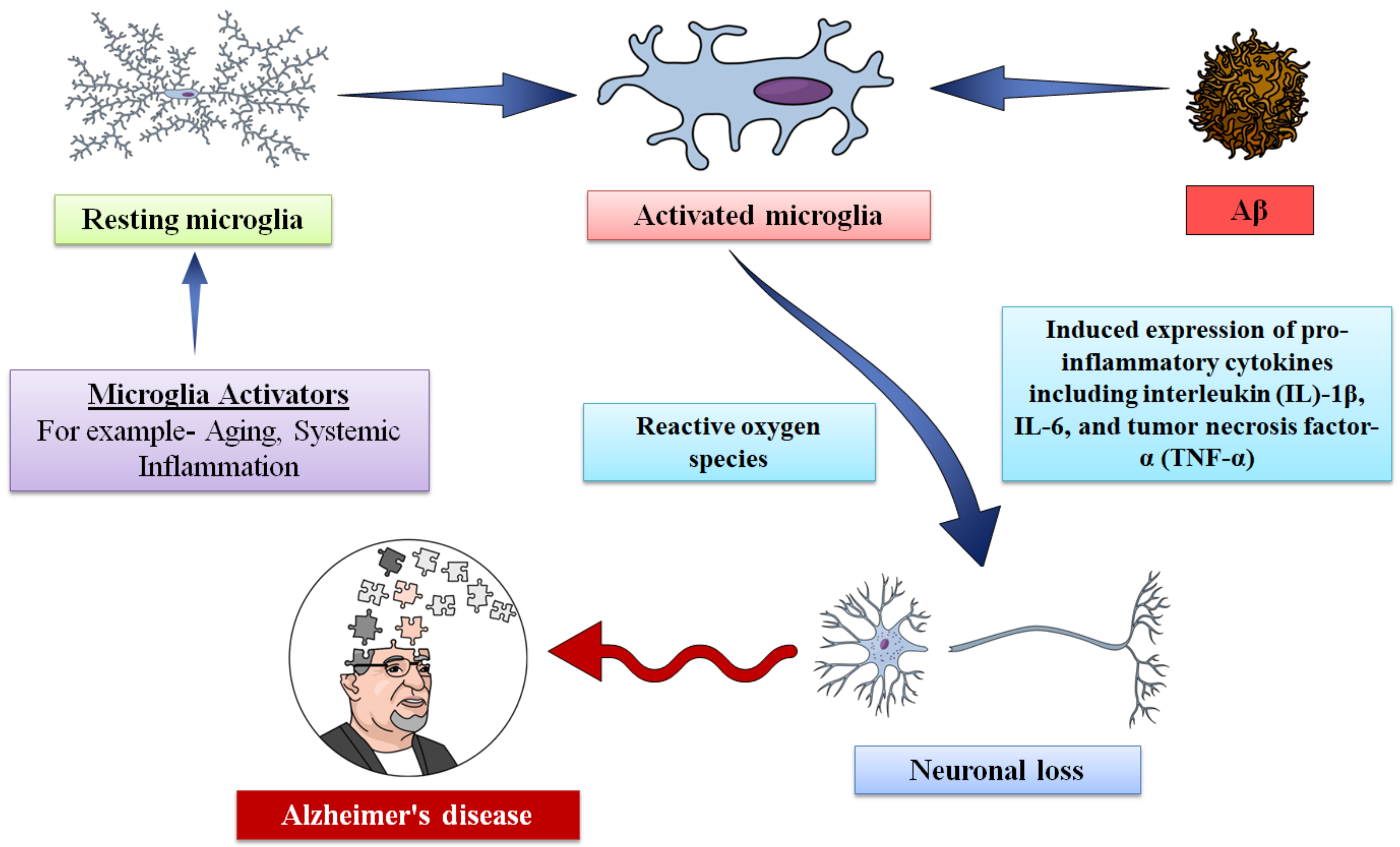 Molecules 27 04124 g003