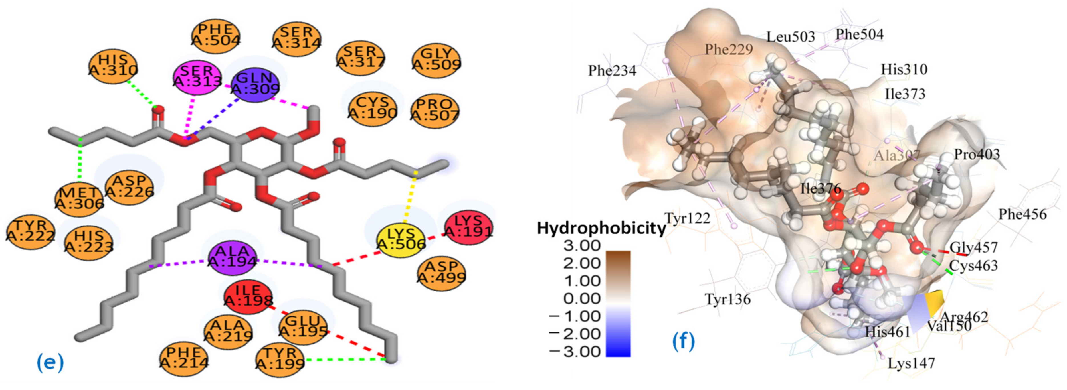 Molecules 27 04125 g005b
