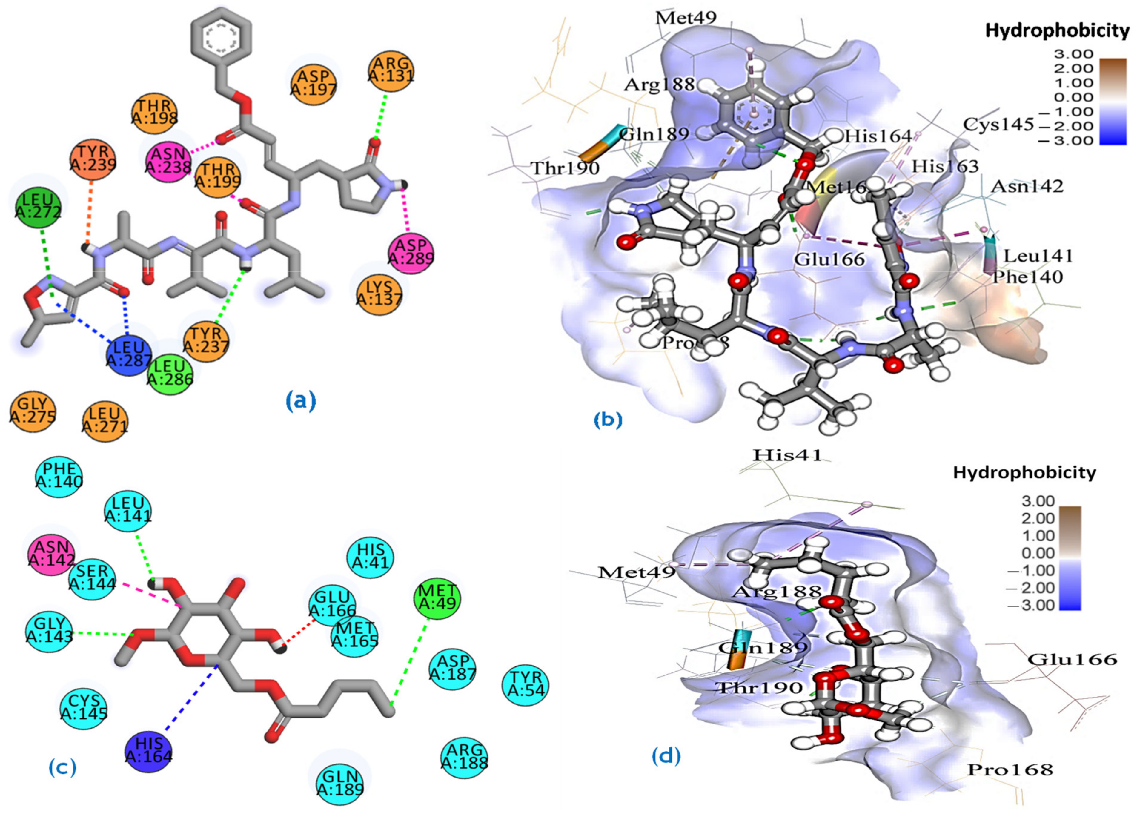 Molecules 27 04125 g006a