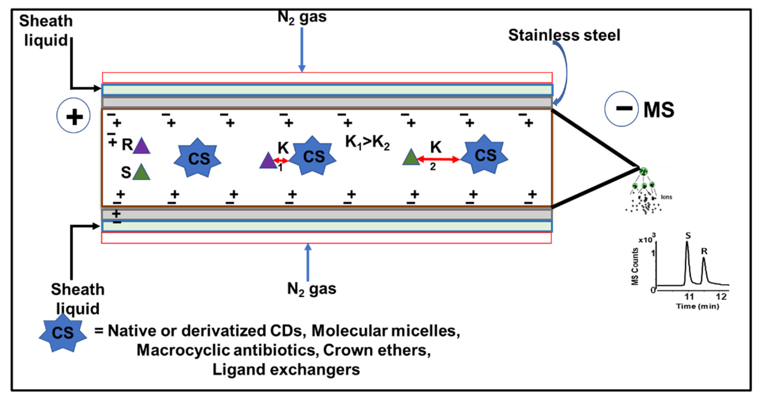 Molecules 27 04126 g002