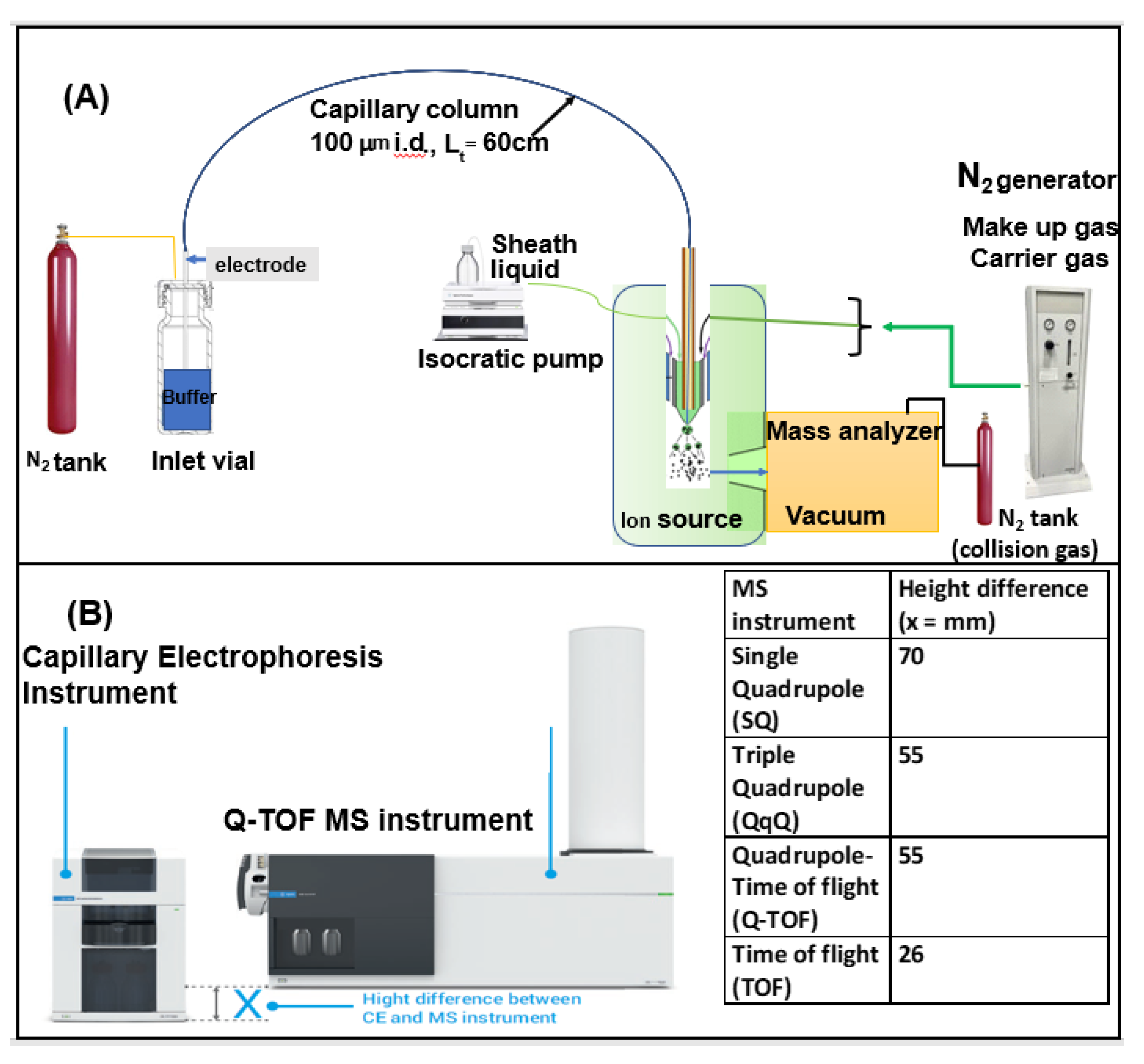 Molecules 27 04126 g004