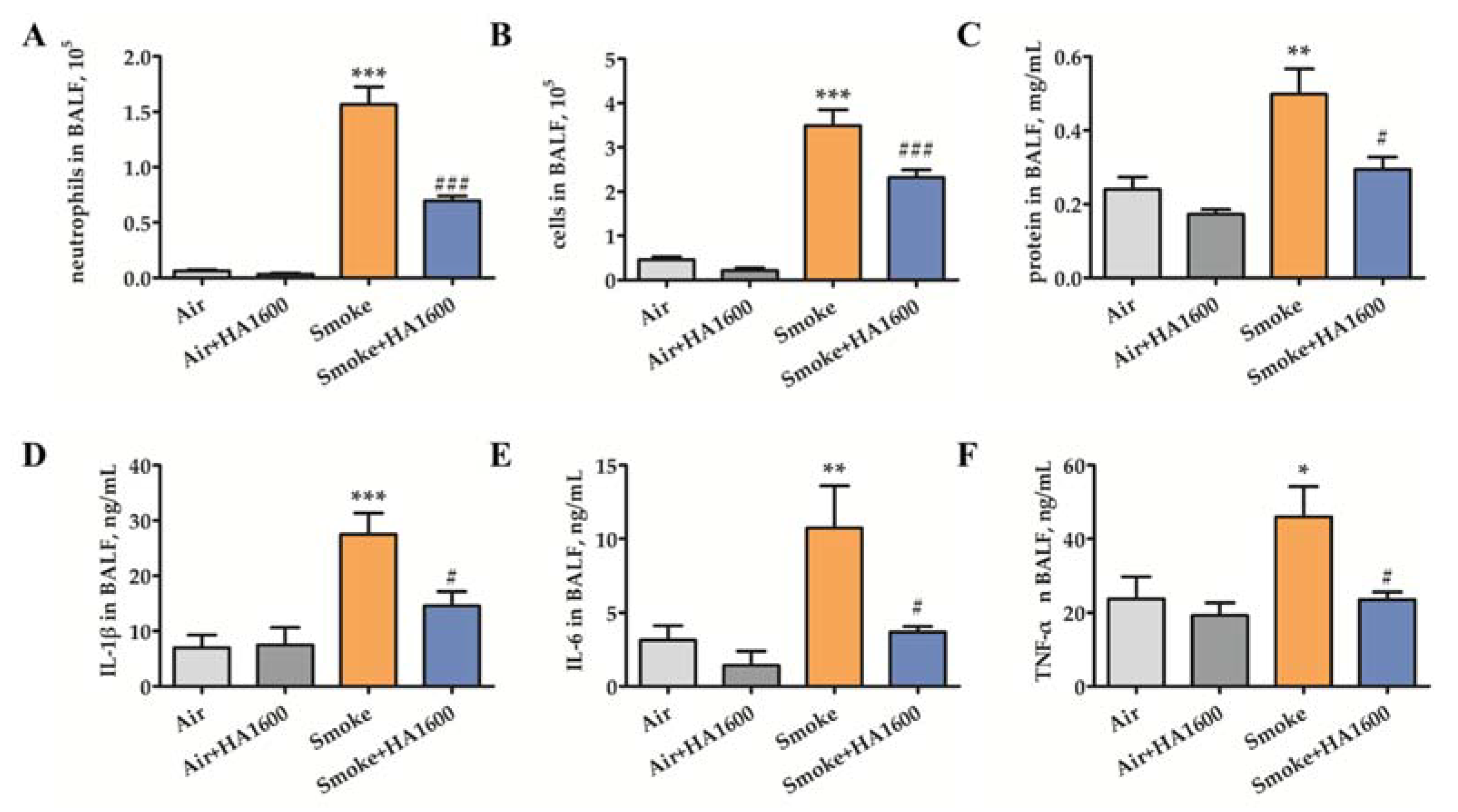 Molecules 27 04128 g002
