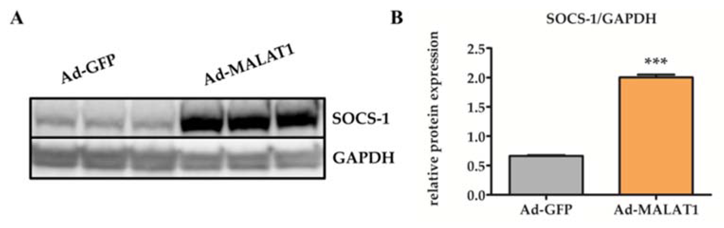 Molecules 27 04128 g005