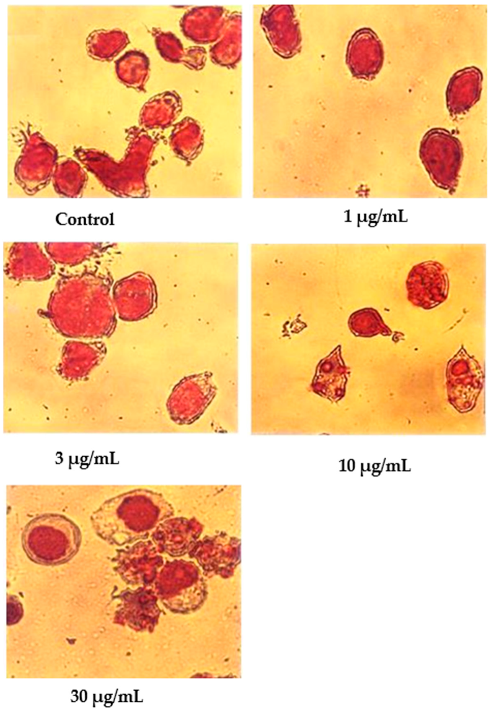 Molecules 27 04136 g006