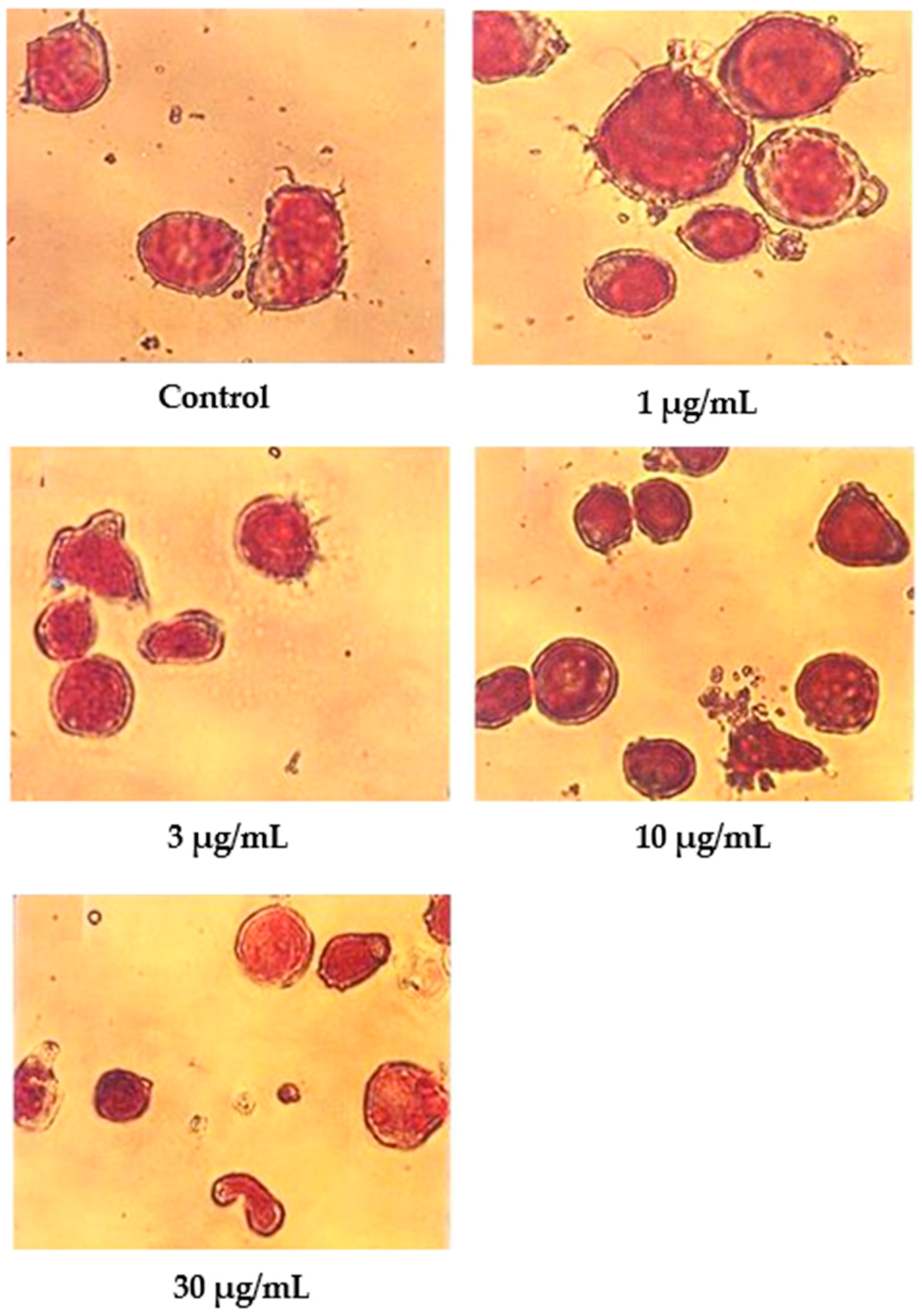 Molecules 27 04136 g007