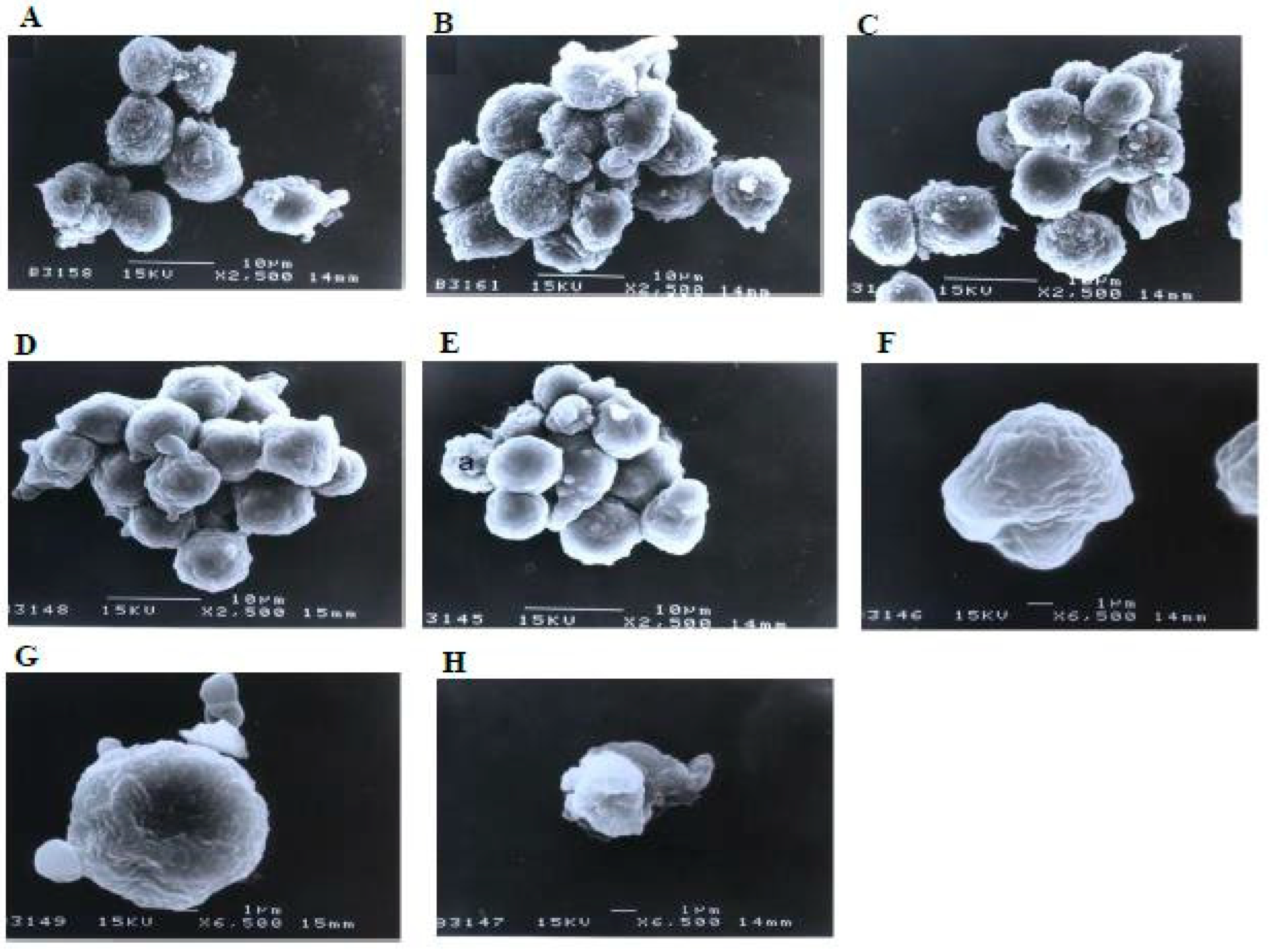 Molecules 27 04136 g009