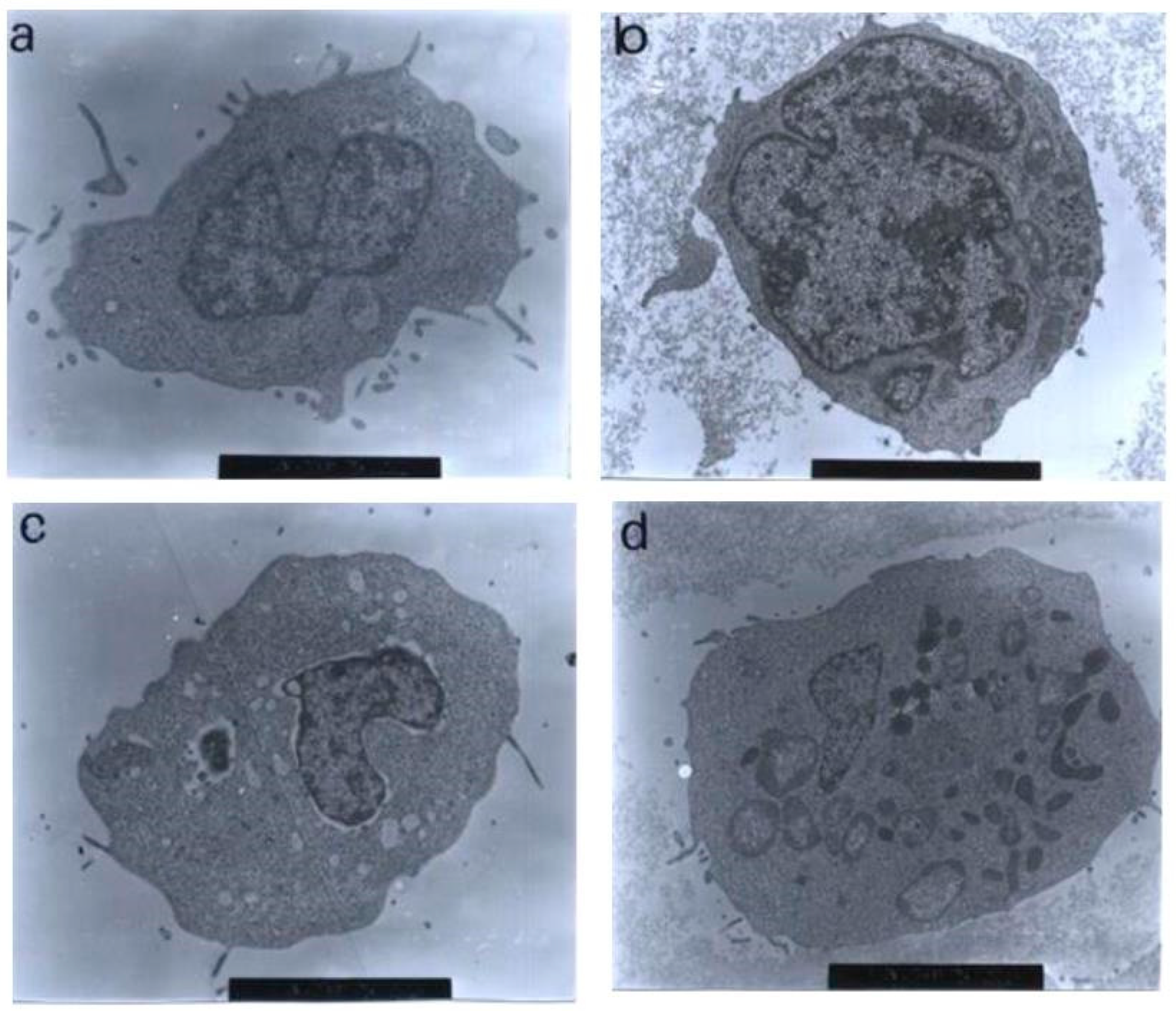 Molecules 27 04136 g011