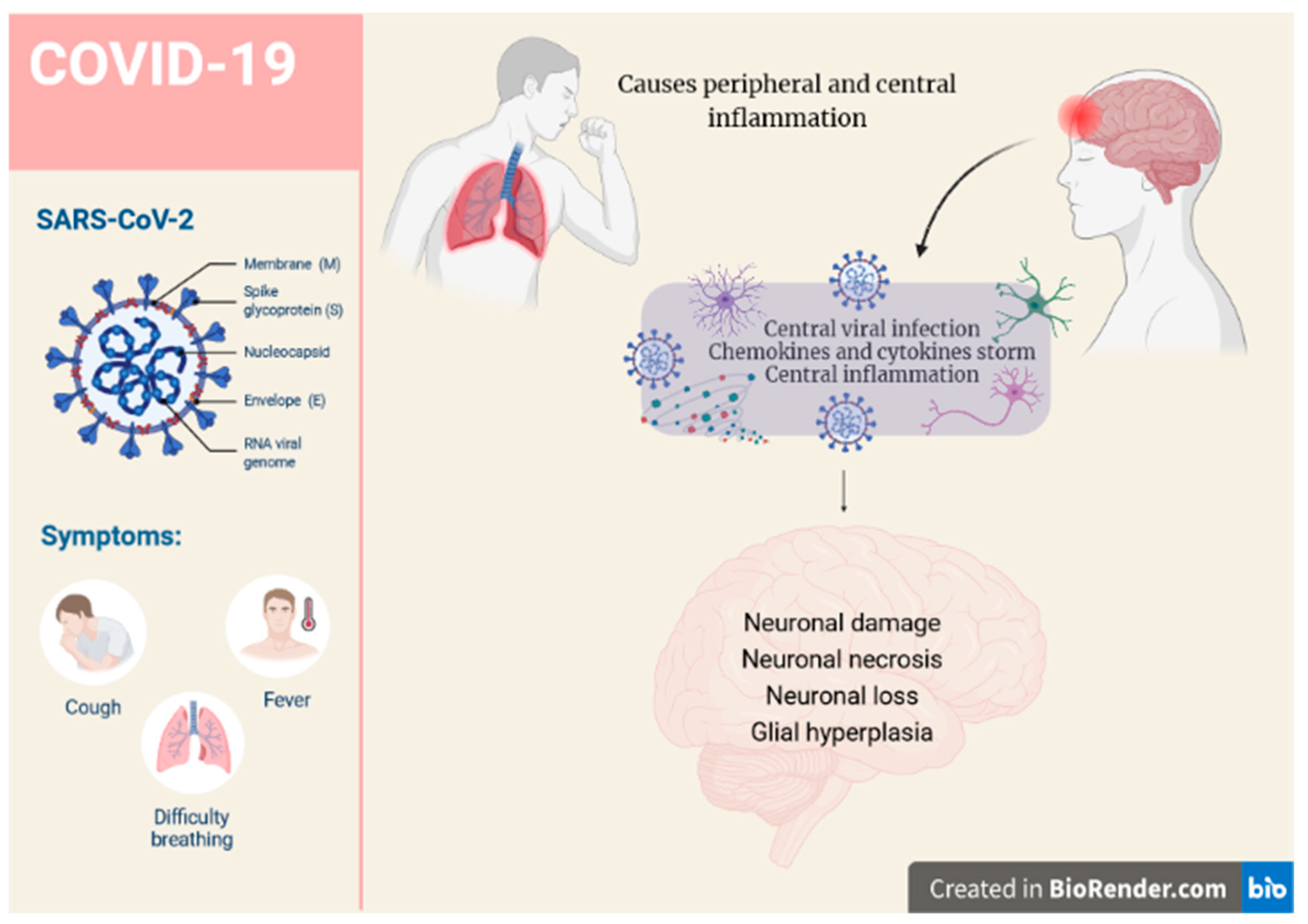 Molecules 27 04142 g001