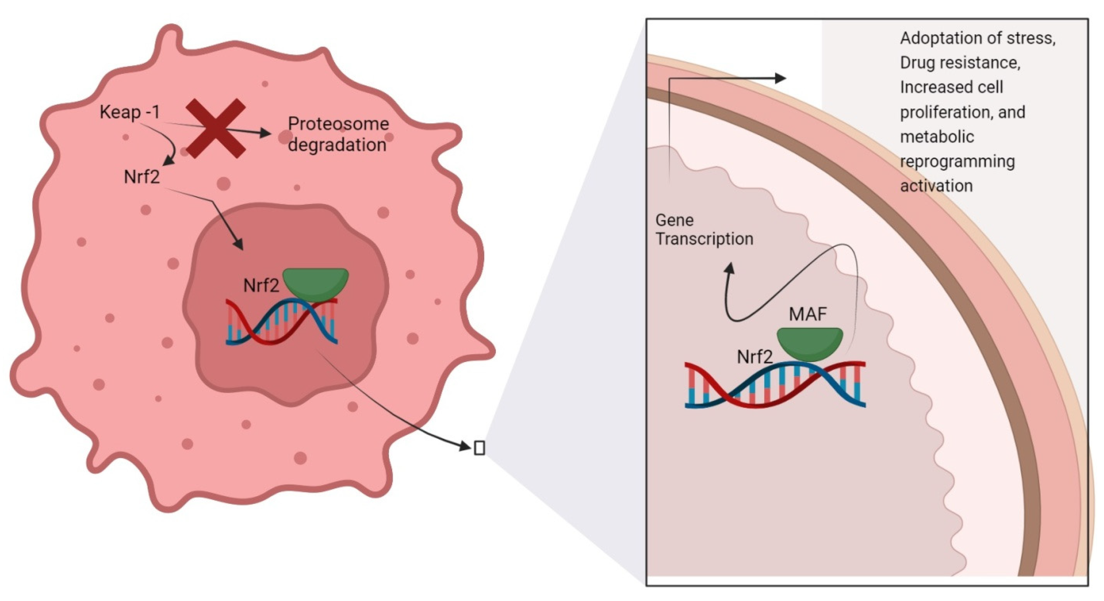 Molecules 27 04145 g001