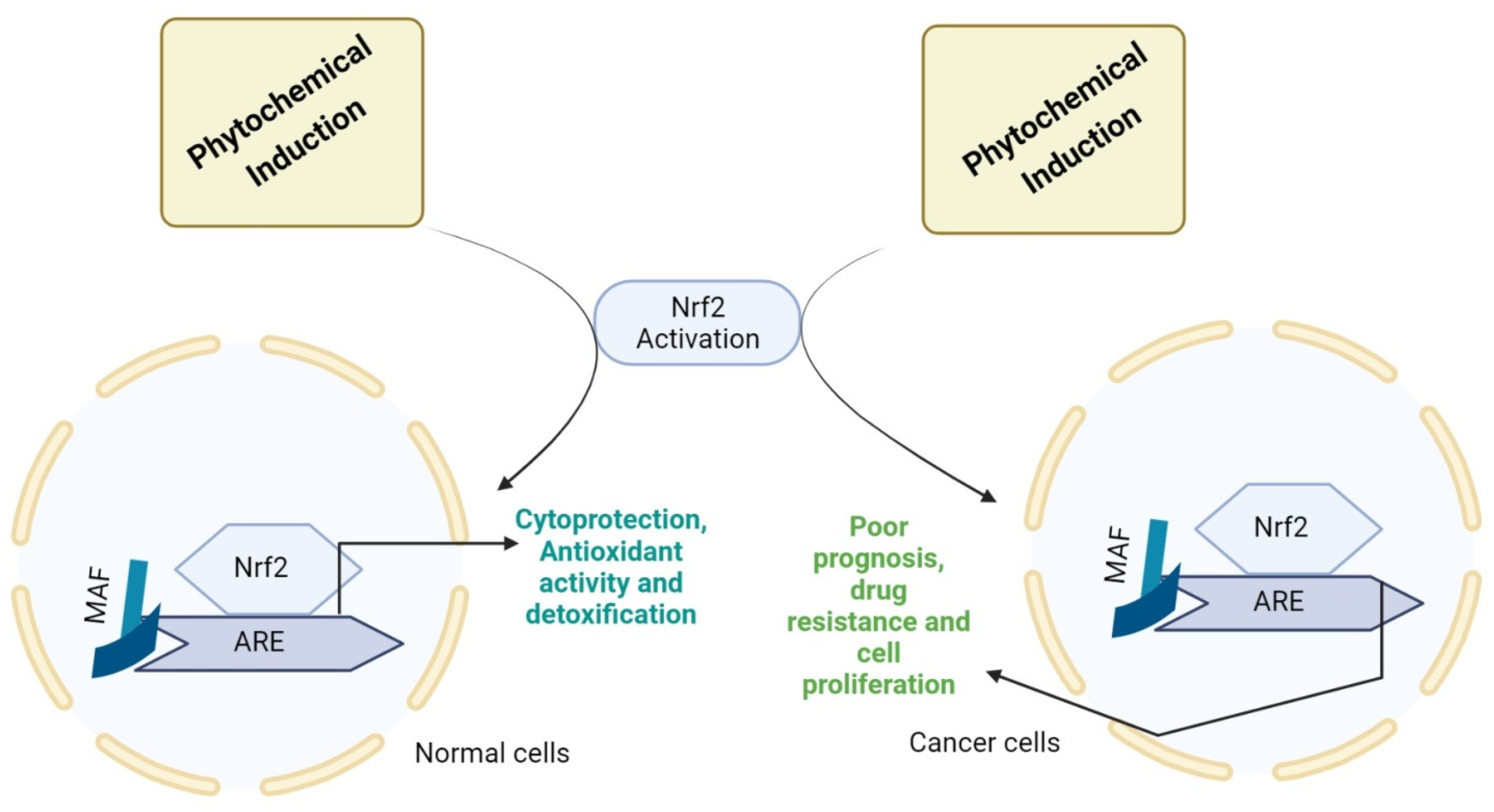 Molecules 27 04145 g002