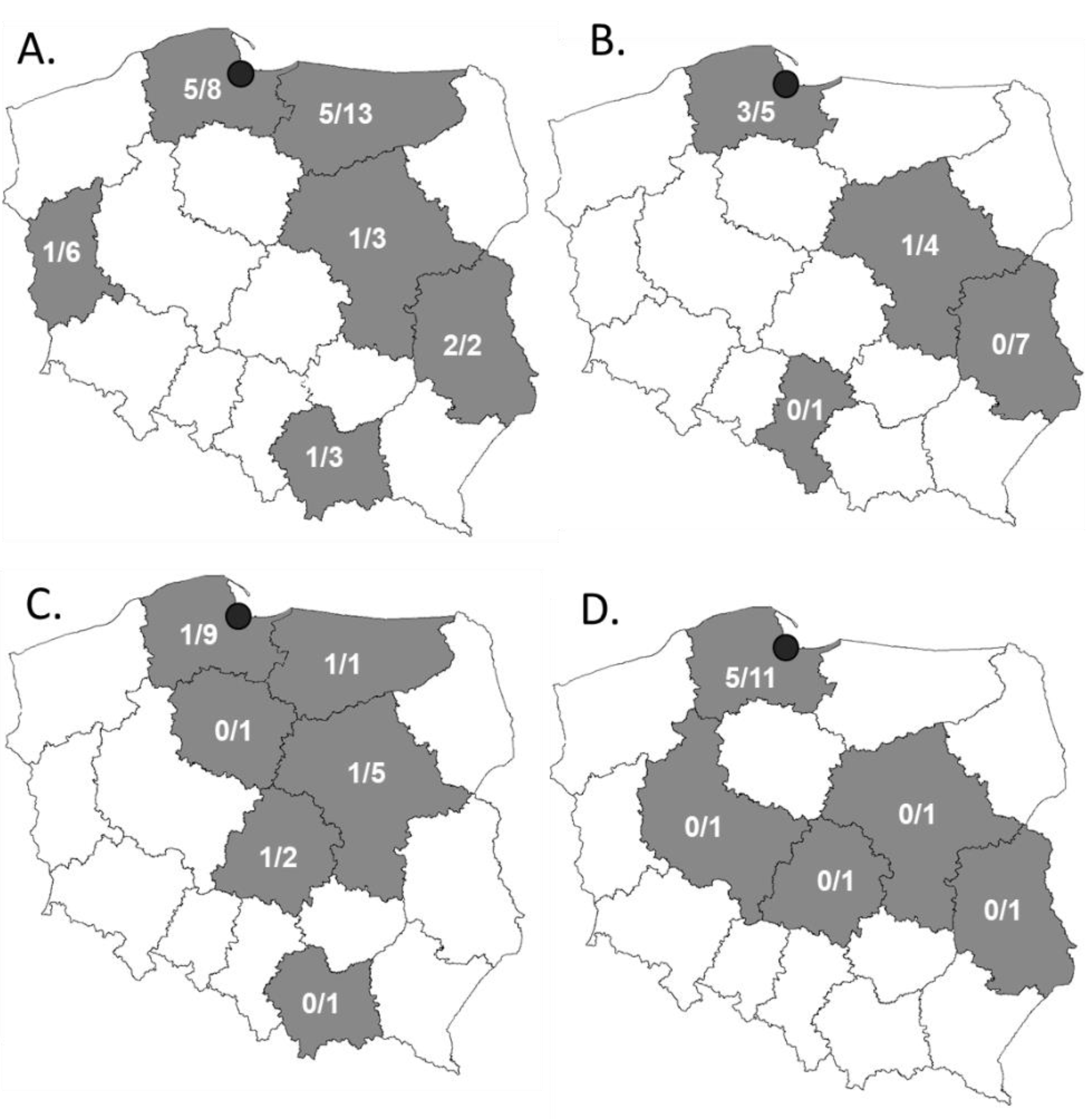 Molecules 27 04151 g001