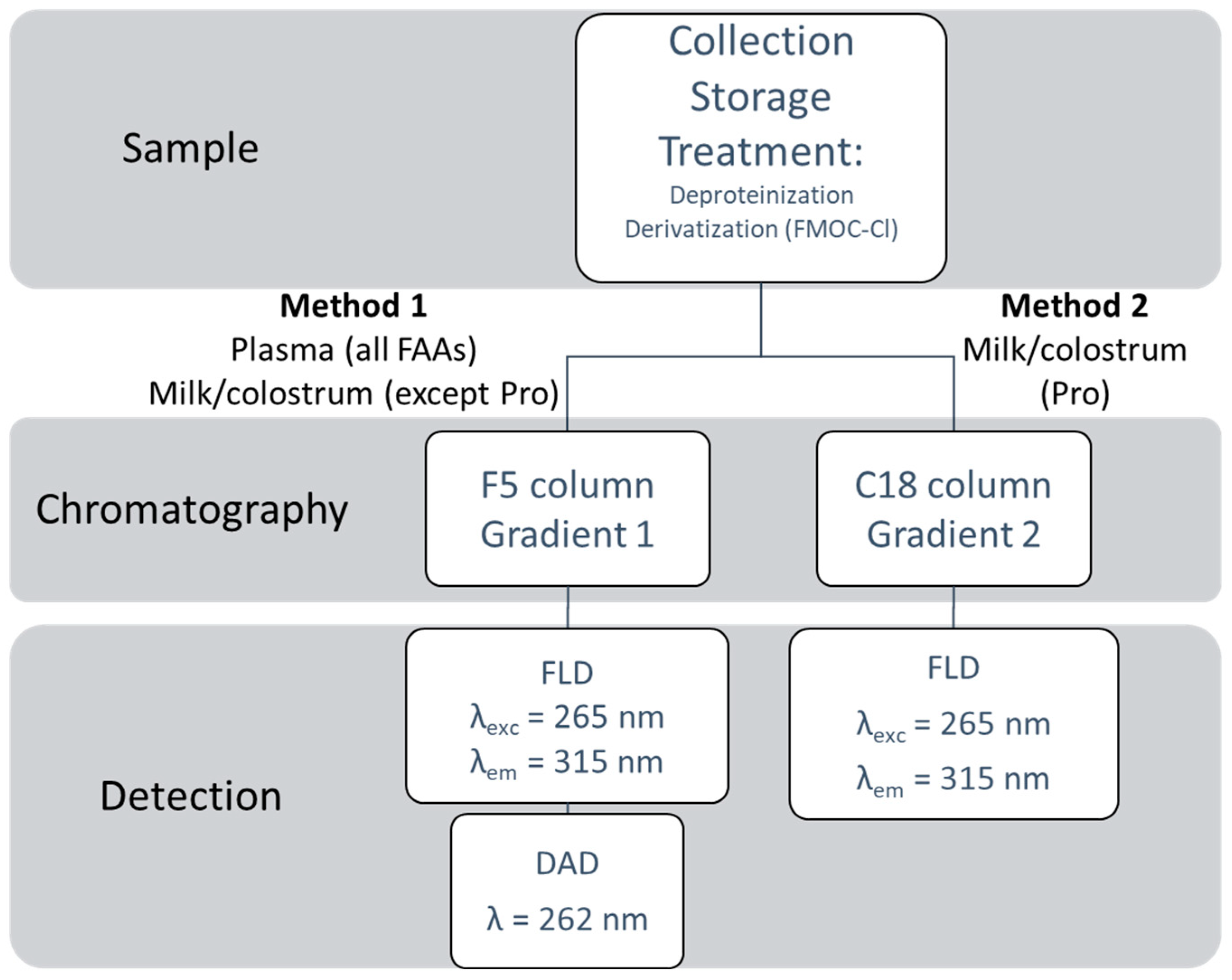 Molecules 27 04153 g002